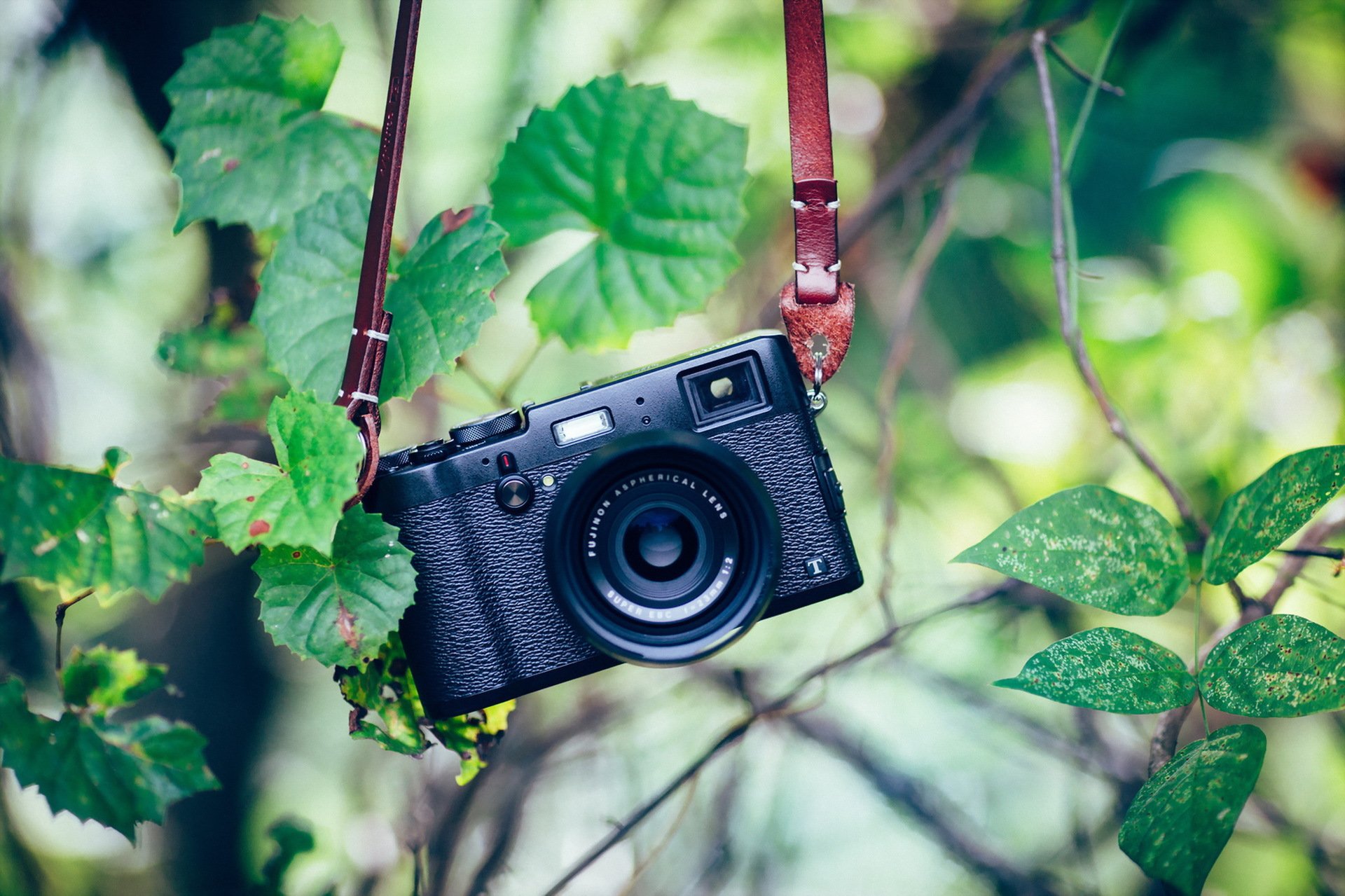 the camera green background