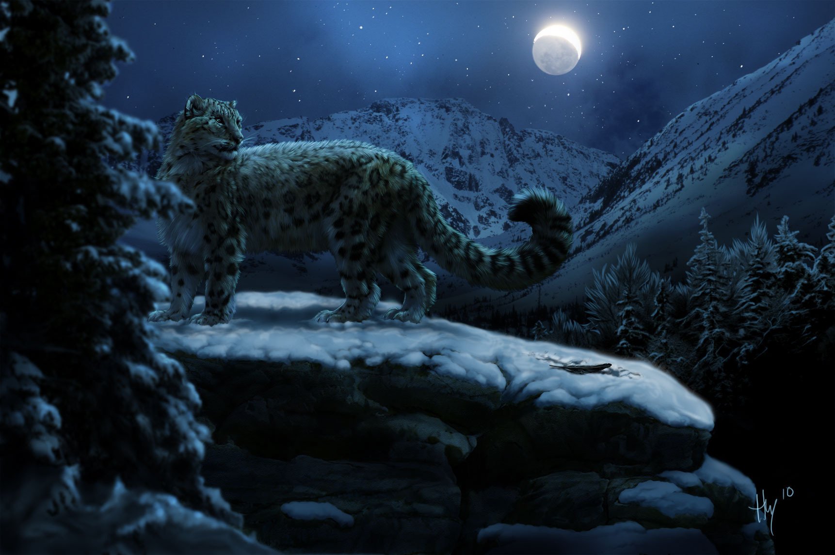 Snow leopard at night in the mountains