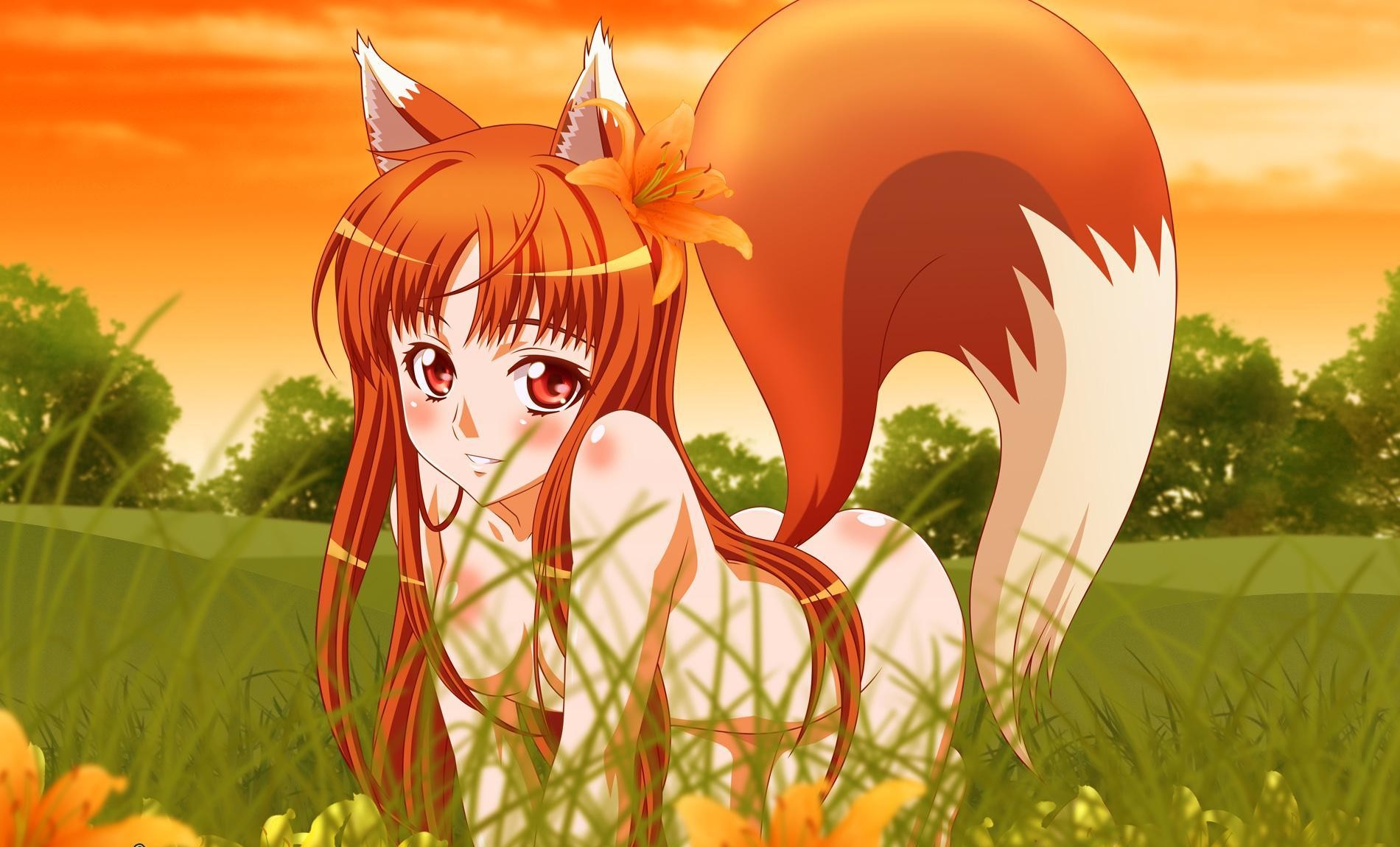 girl the wolf horo wolf and spices view mood flower nature