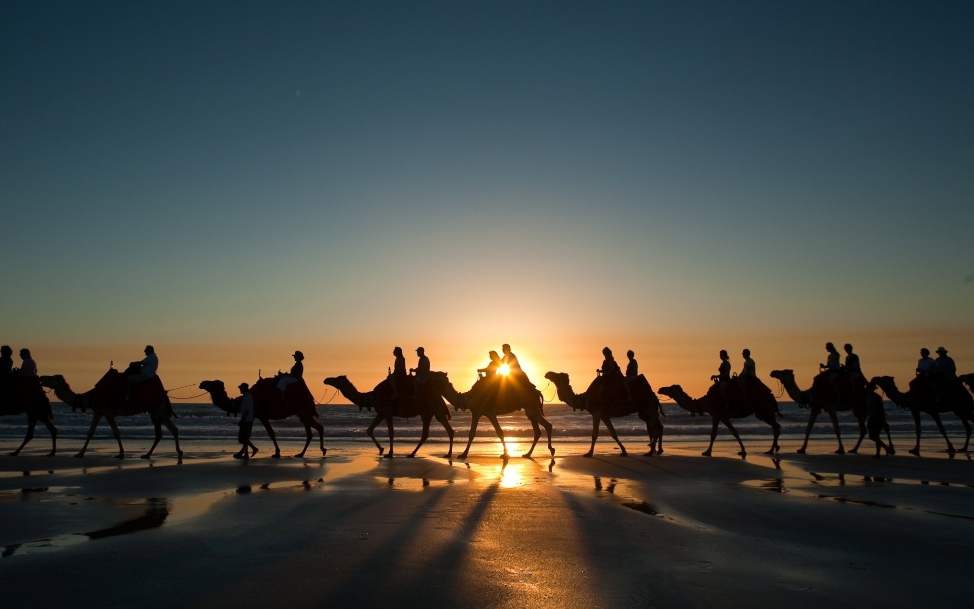 Camel caravan at sunset in the desert