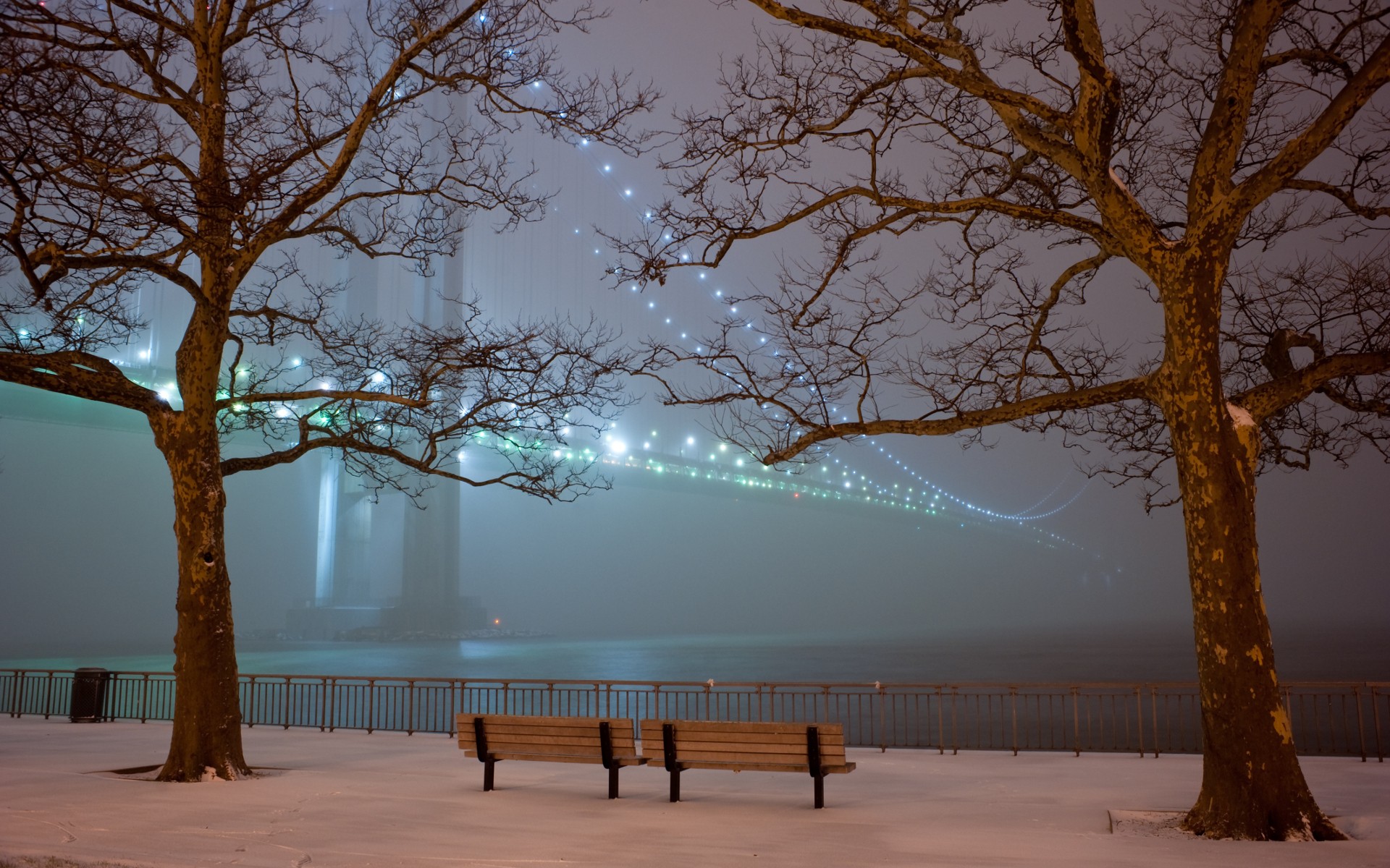 park benches tree bridge lights snow night fog