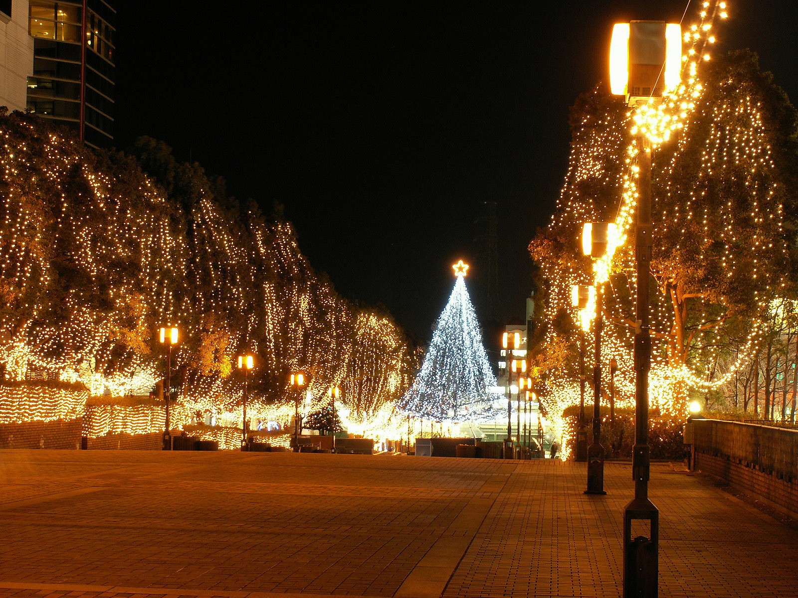 town night lights christmas tree yellow