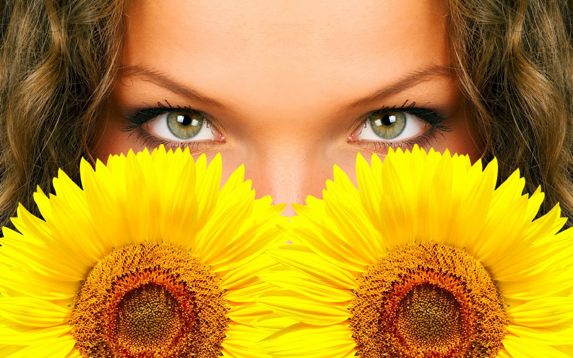 flower sunflower eyes