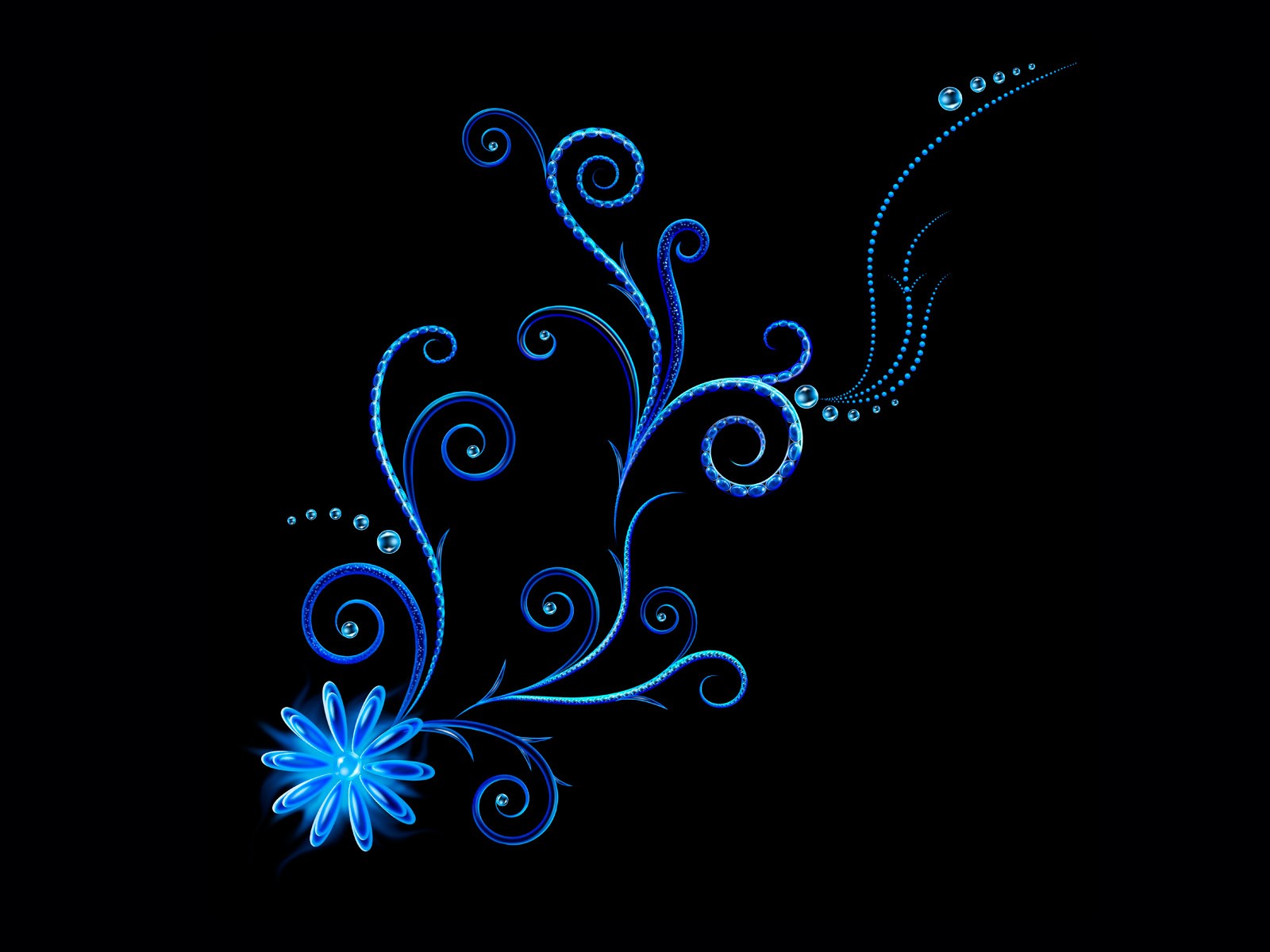 abstract black background vector line flower bends