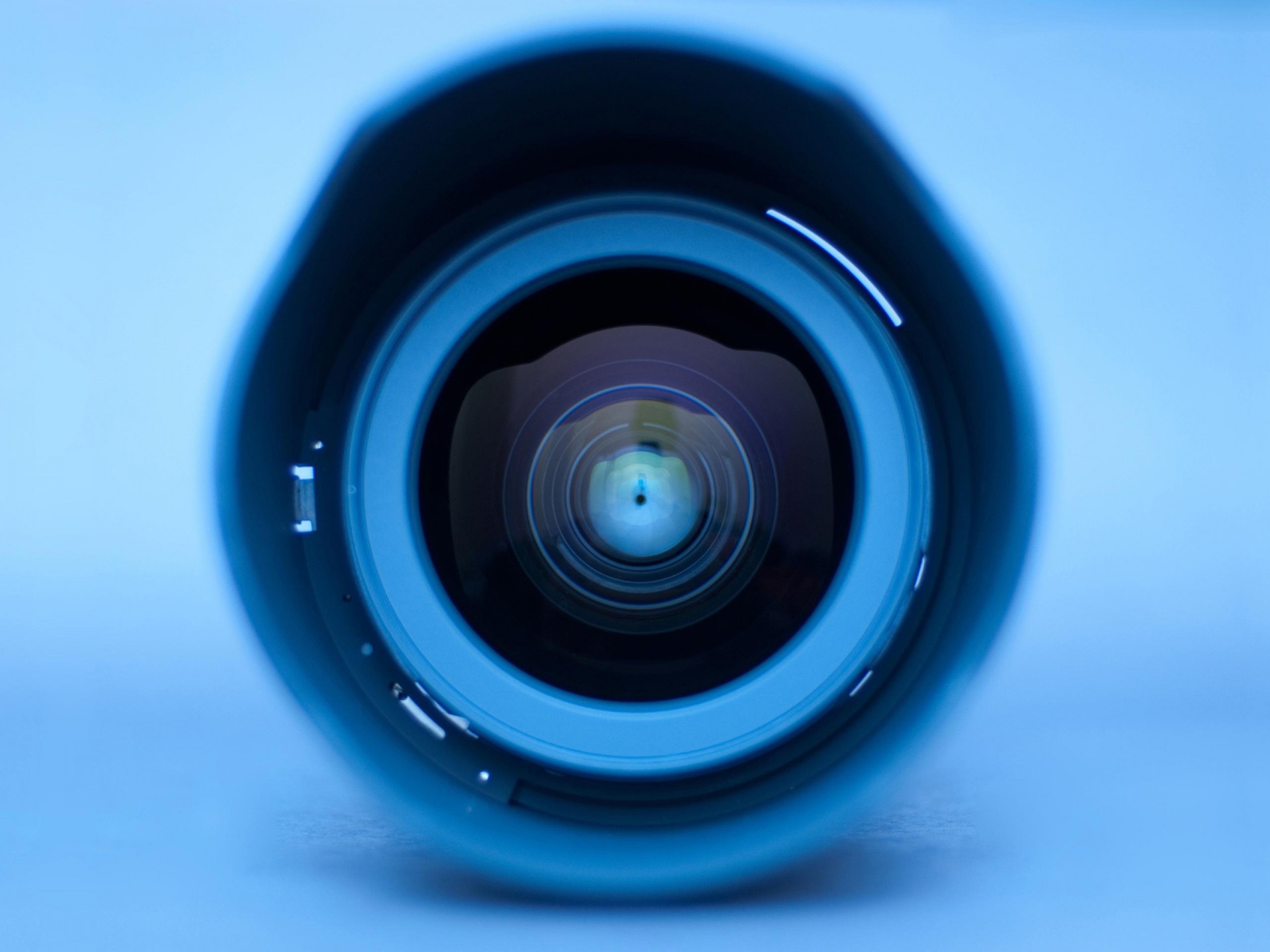 a lens following blue eye