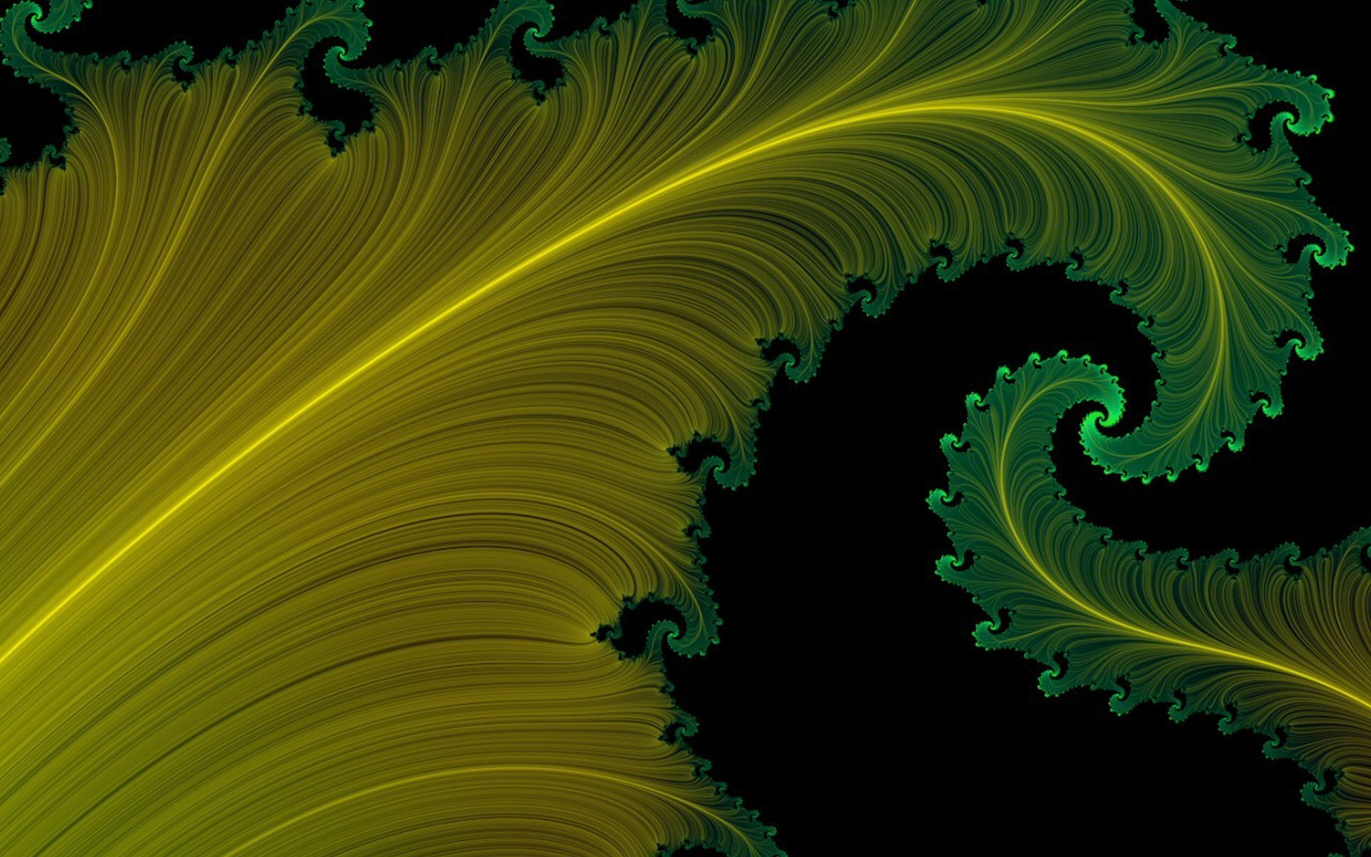 fractal green yellow divorce