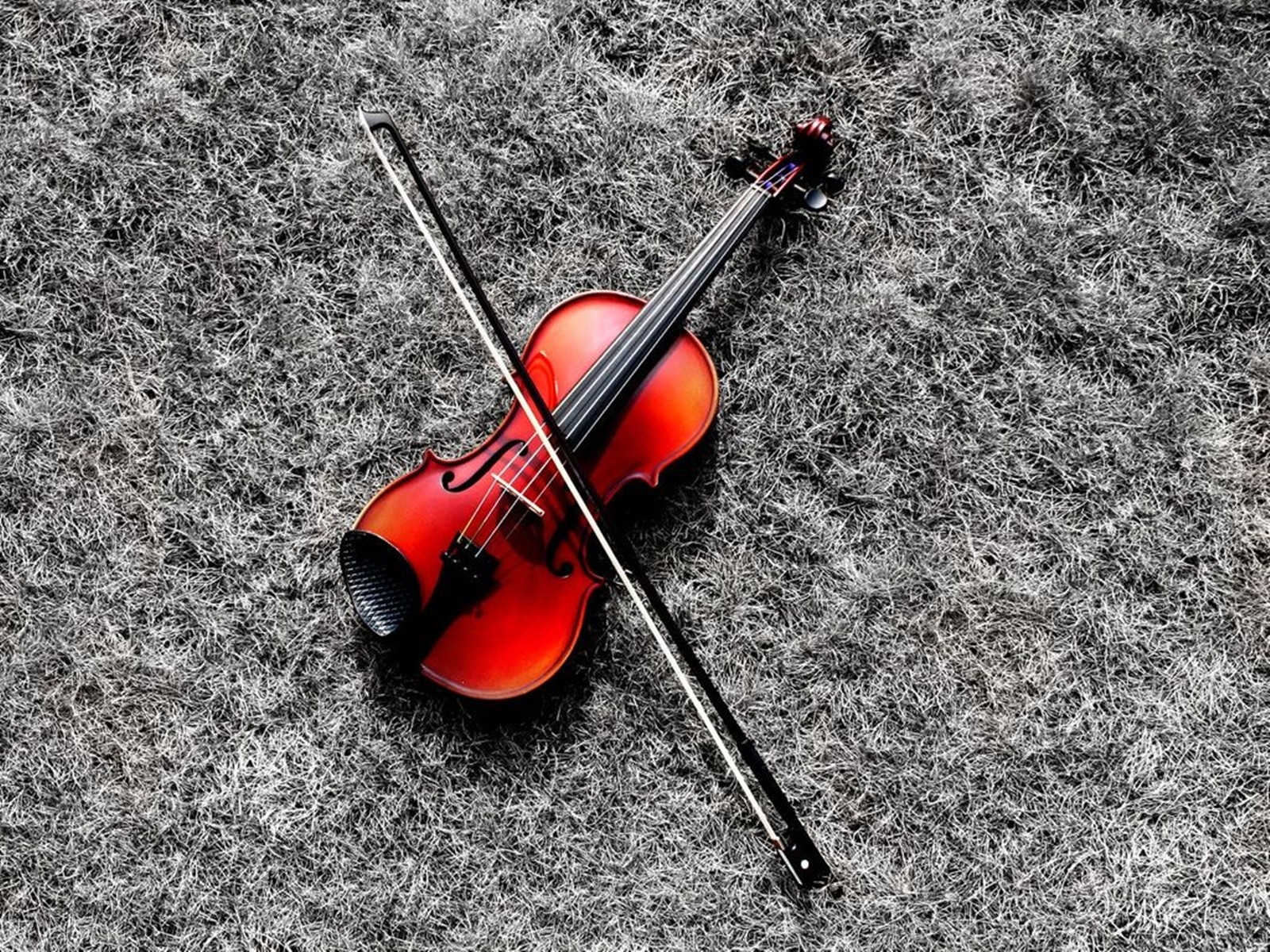 violin red grass