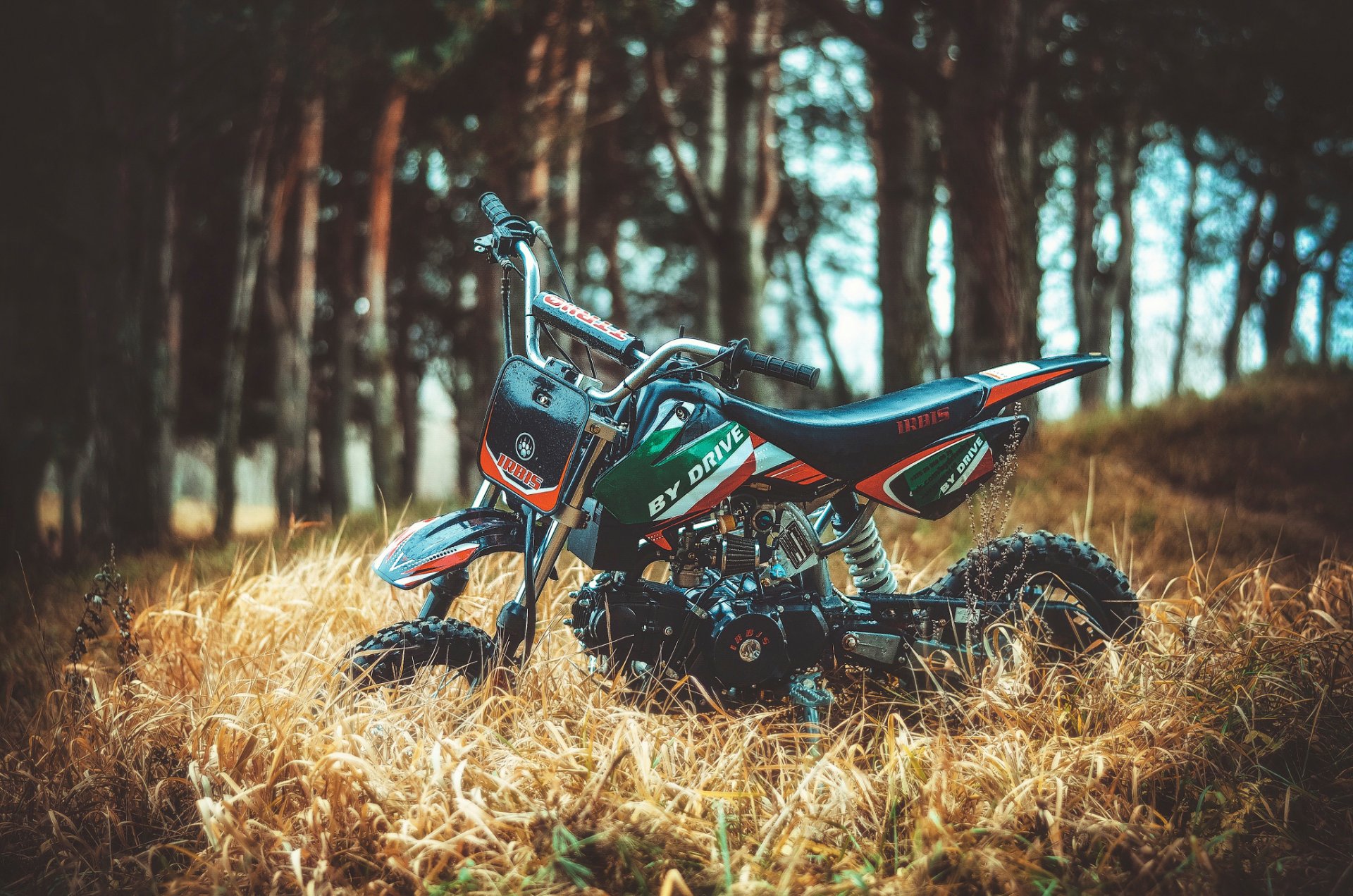 irbis transport views