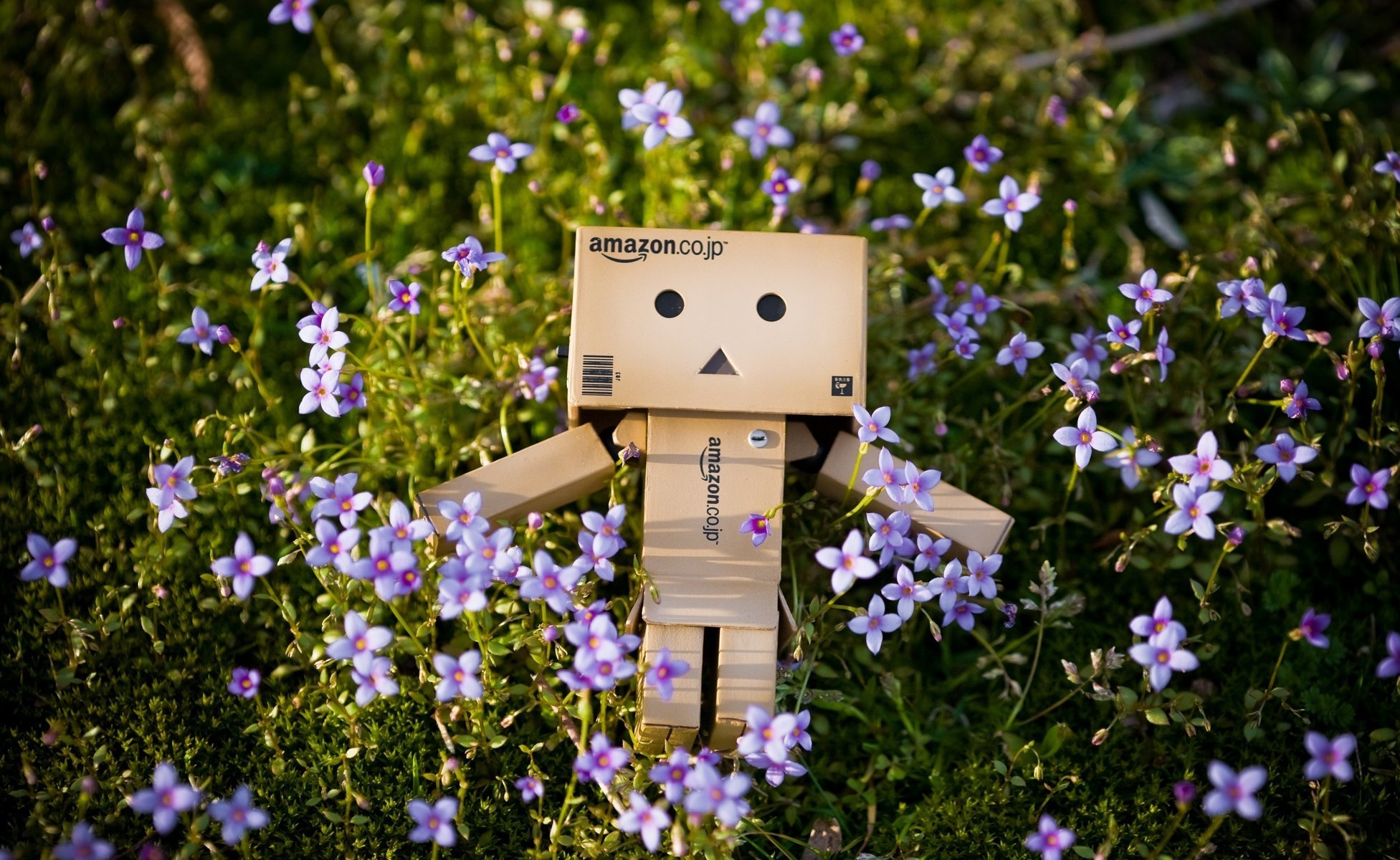 Robot box in the meadow
