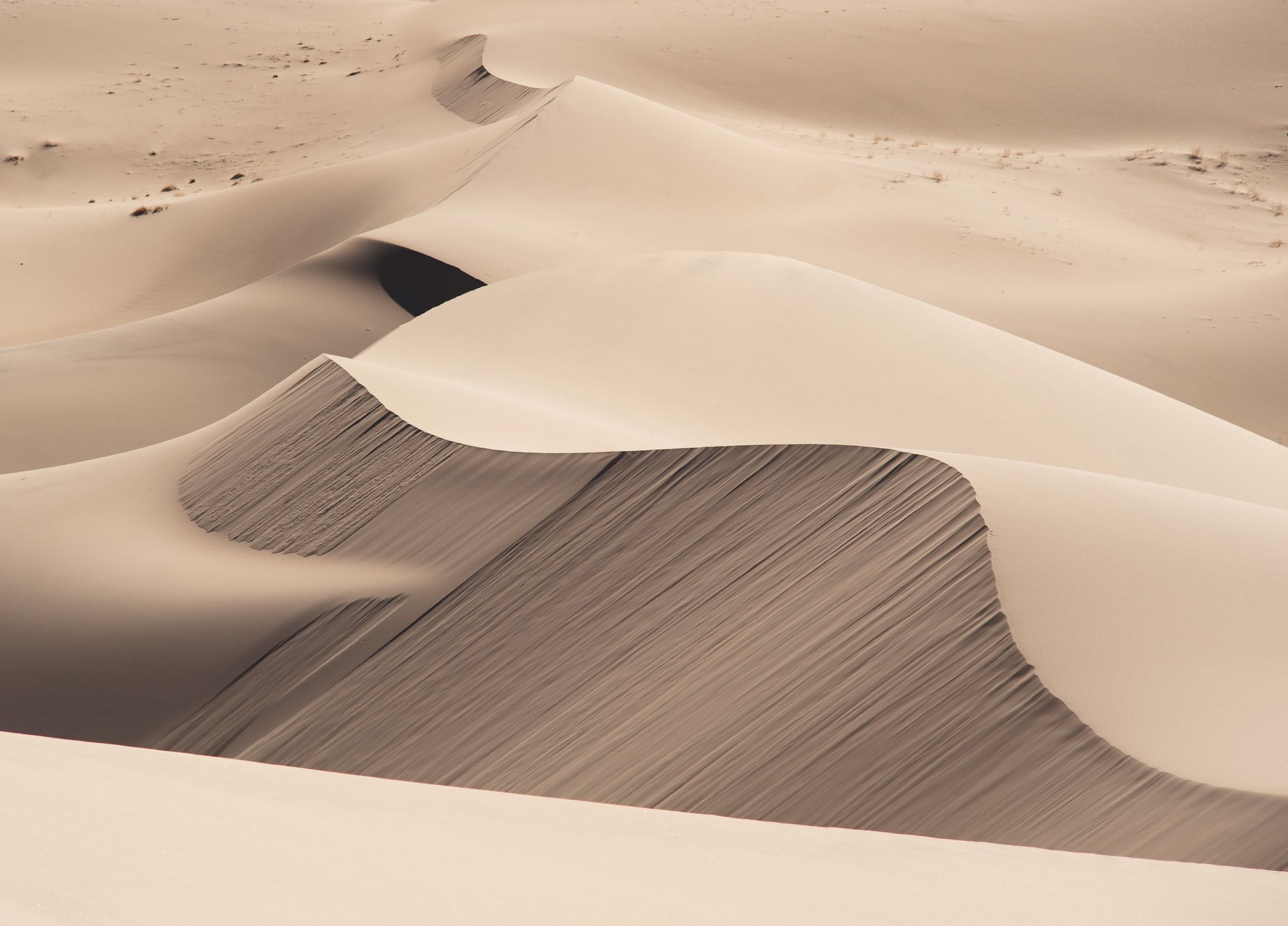 Endless gray desert sands