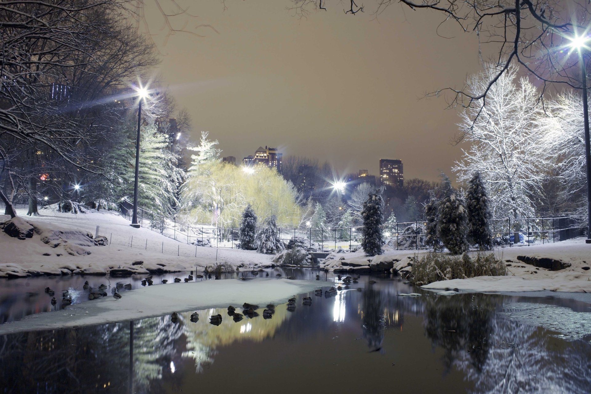 Winter city. lanterns in the snow