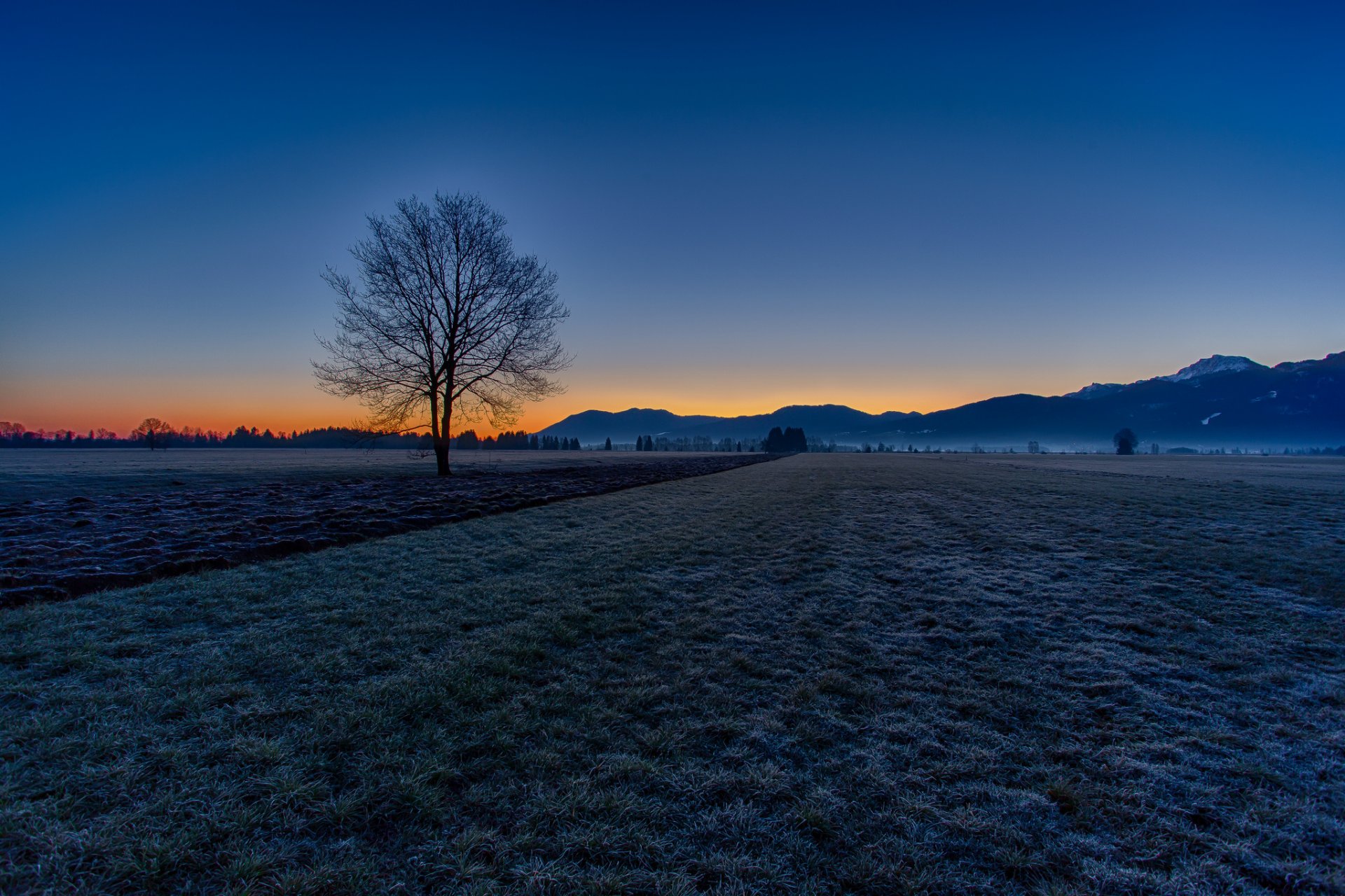 sky morning mountain the field tree autumn frost