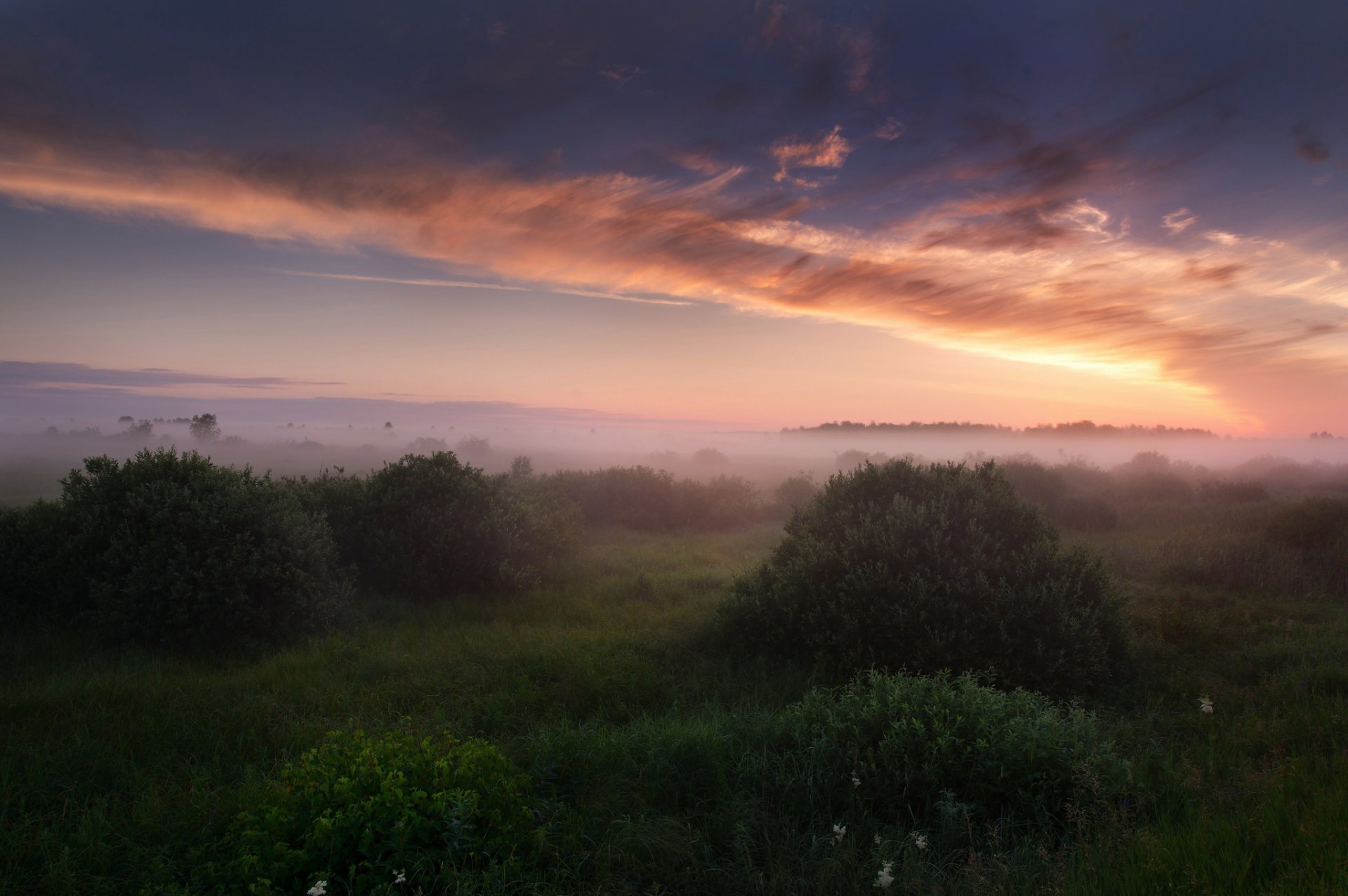 russia summer july morning fog sky clouds light grass bush