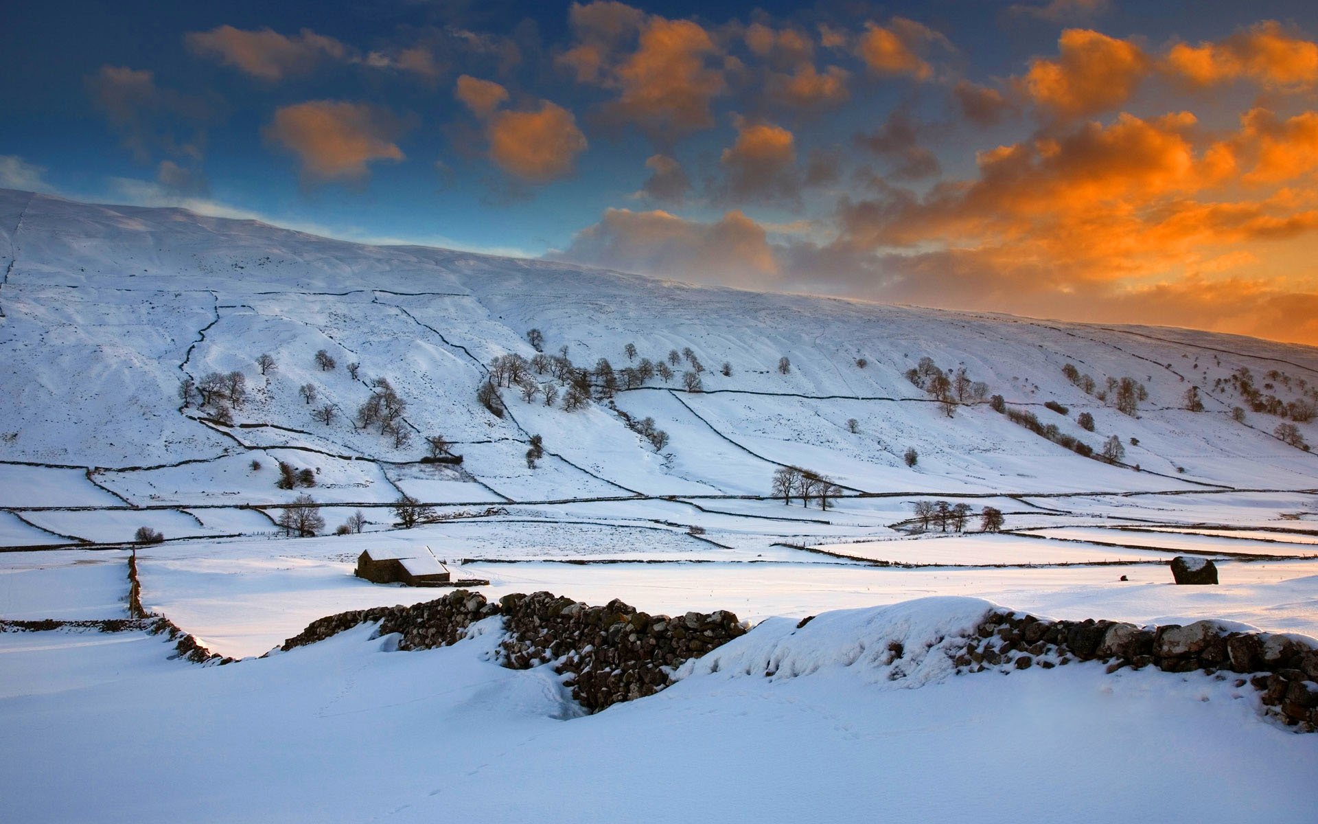 Free Wallpapers Winter Snow Hills The Field Tree Sky Clouds Sunset Glow