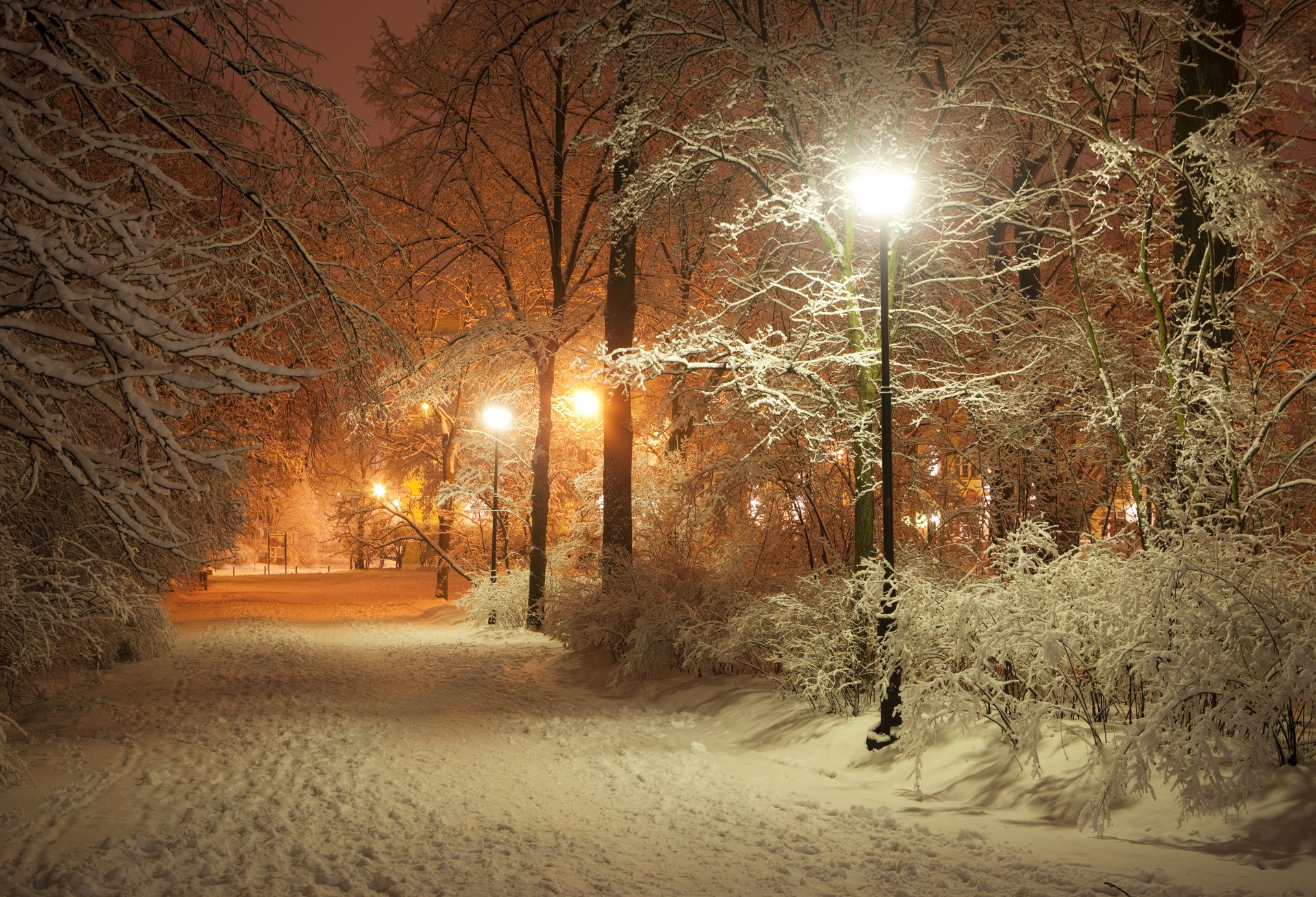 Free Wallpapers romantic evening winter park alley lanterns road nature ...