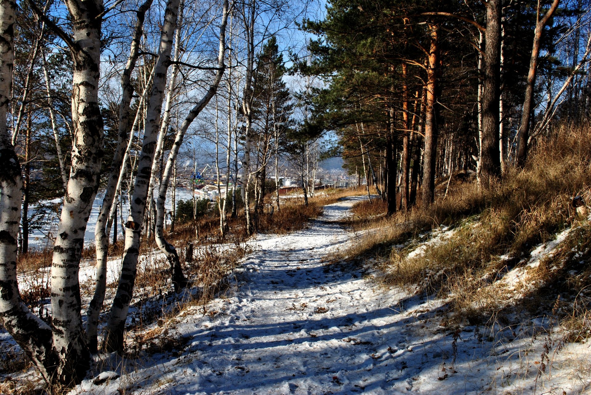 Фото природы без обработки