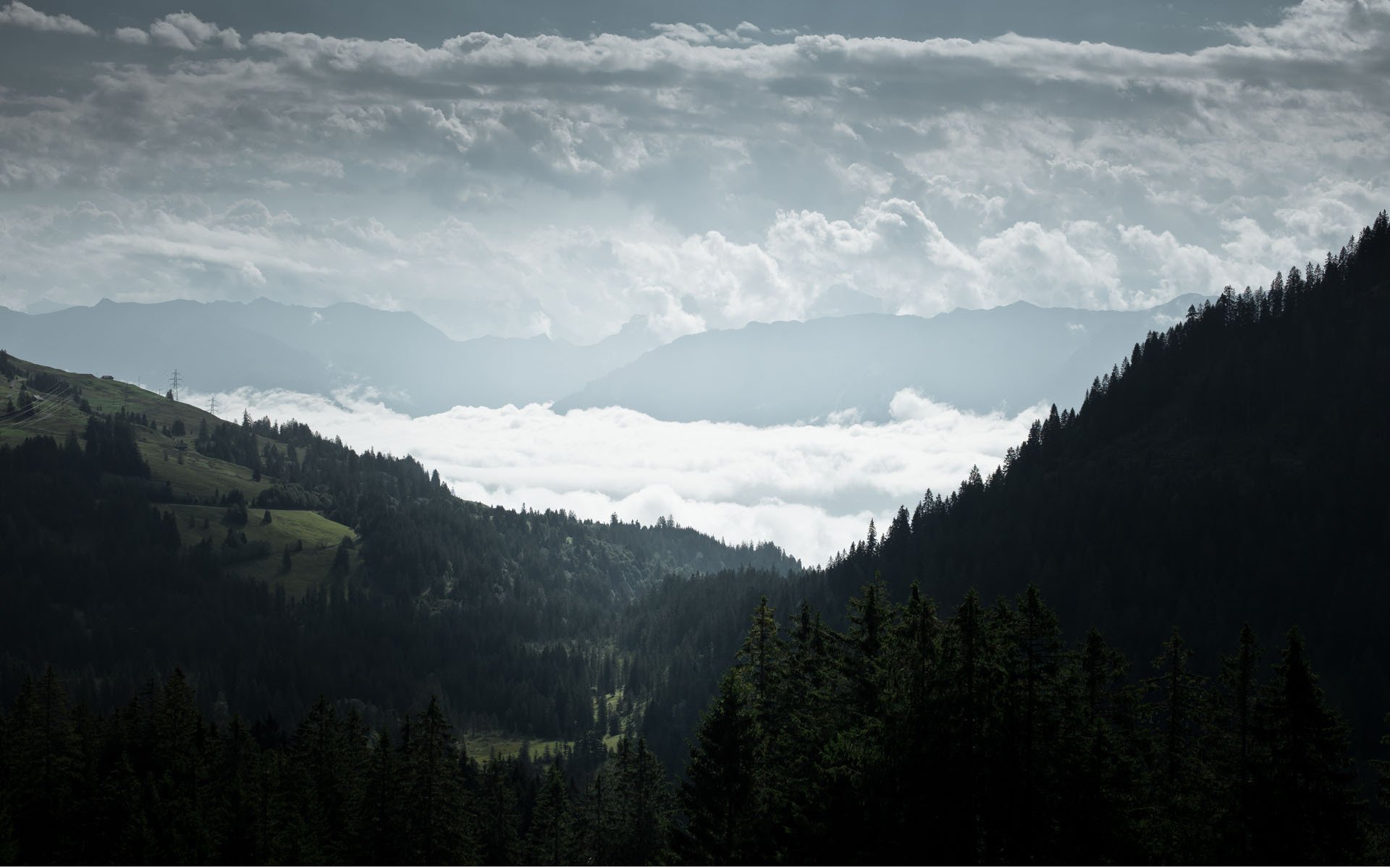 Холмы туман. Мрачные горы. Вид с холма на лес. Холмы в тумане. Лес горы туман.