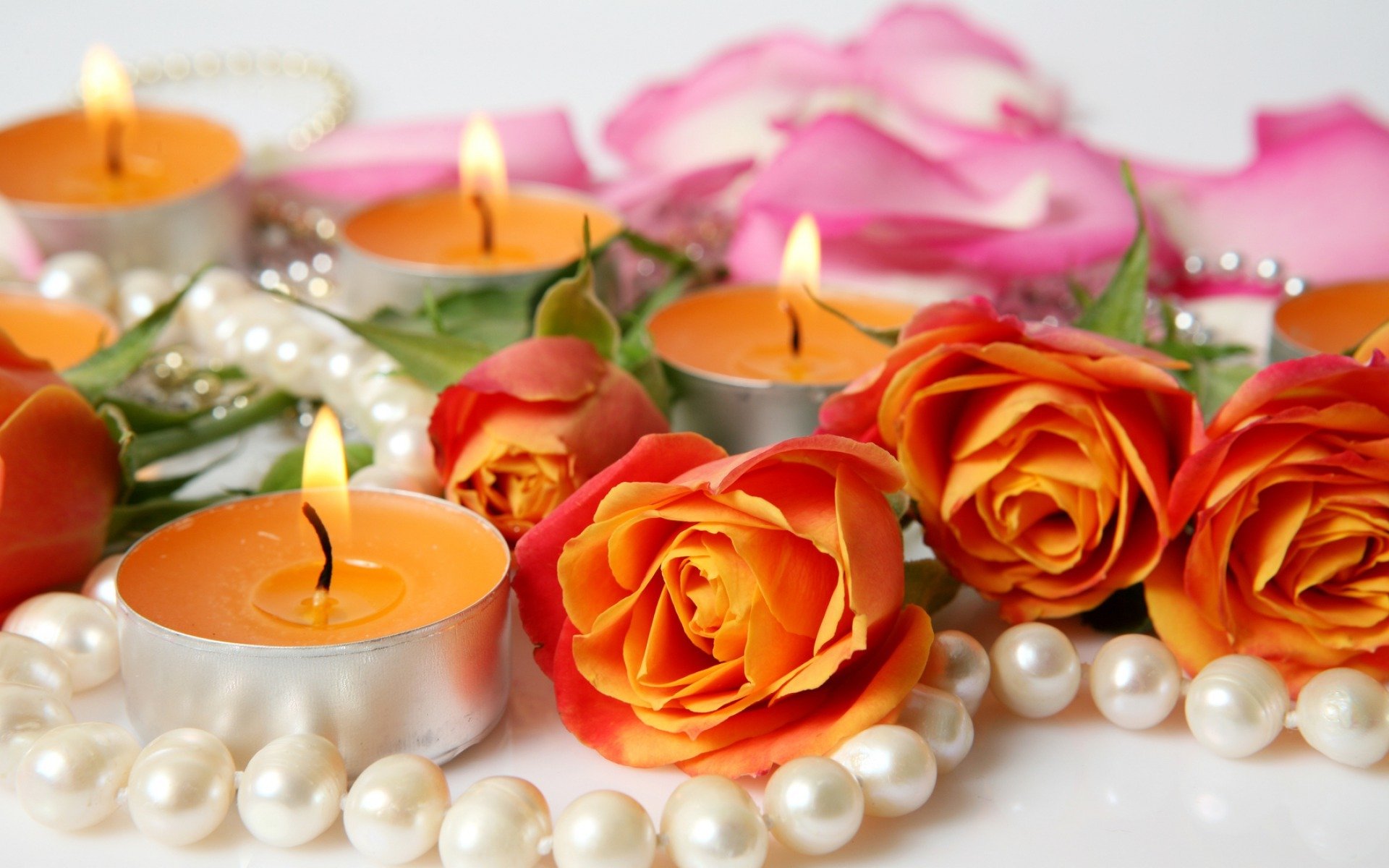flower roses candles petals