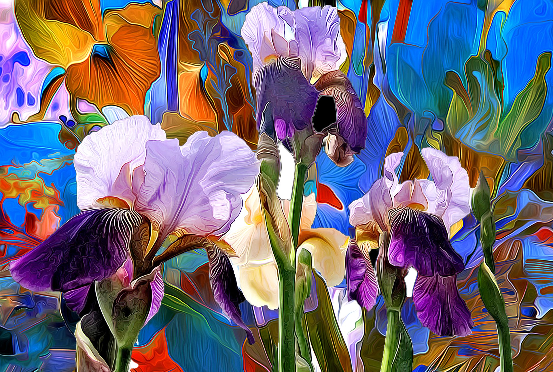 line paint rendering flower petals iris