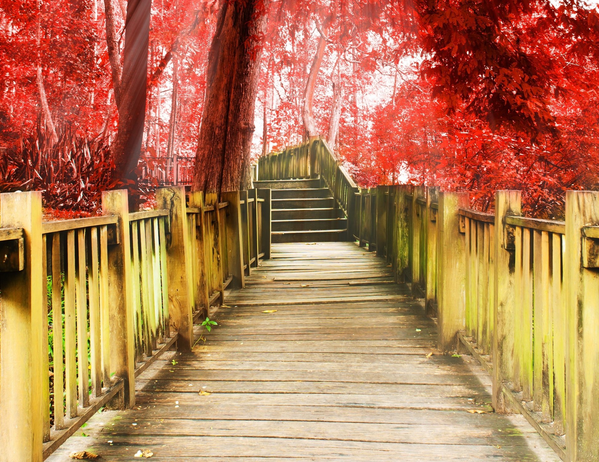 HD wallpaper miscellaneous track stairs degree a step tree ...
