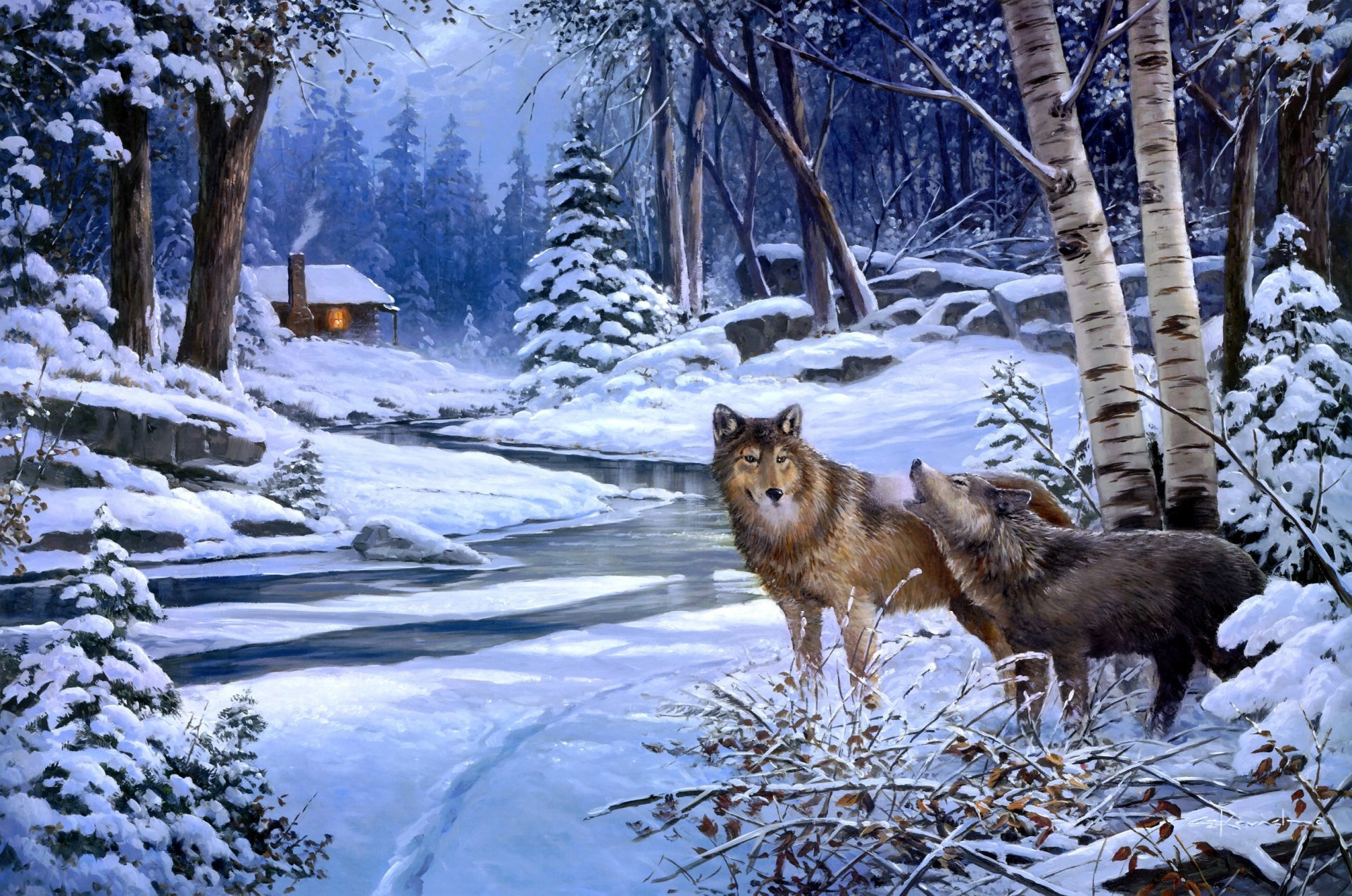 Two wolves at night in the winter forest | Desktop Wallpapers