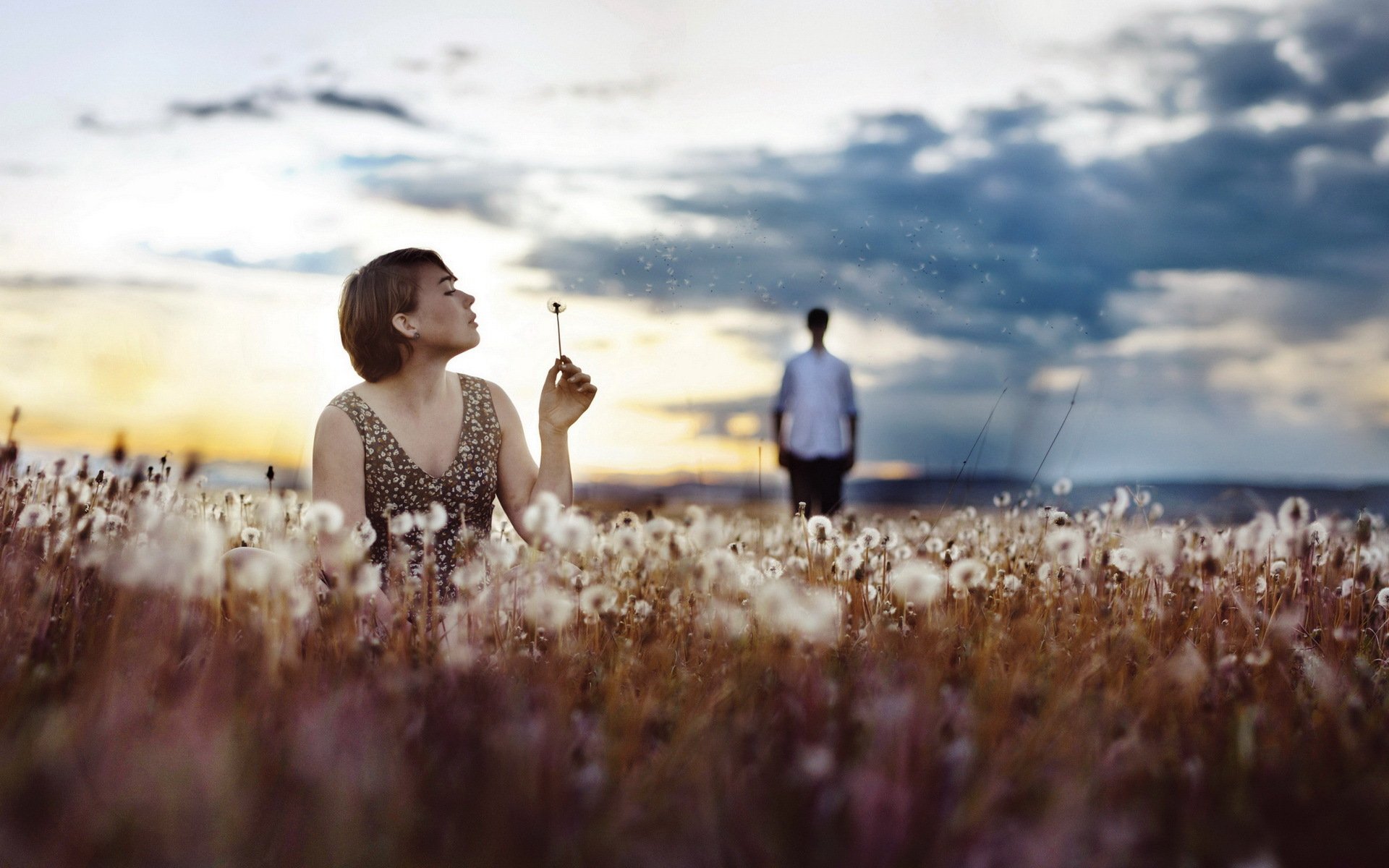 girl the field dandelions mood