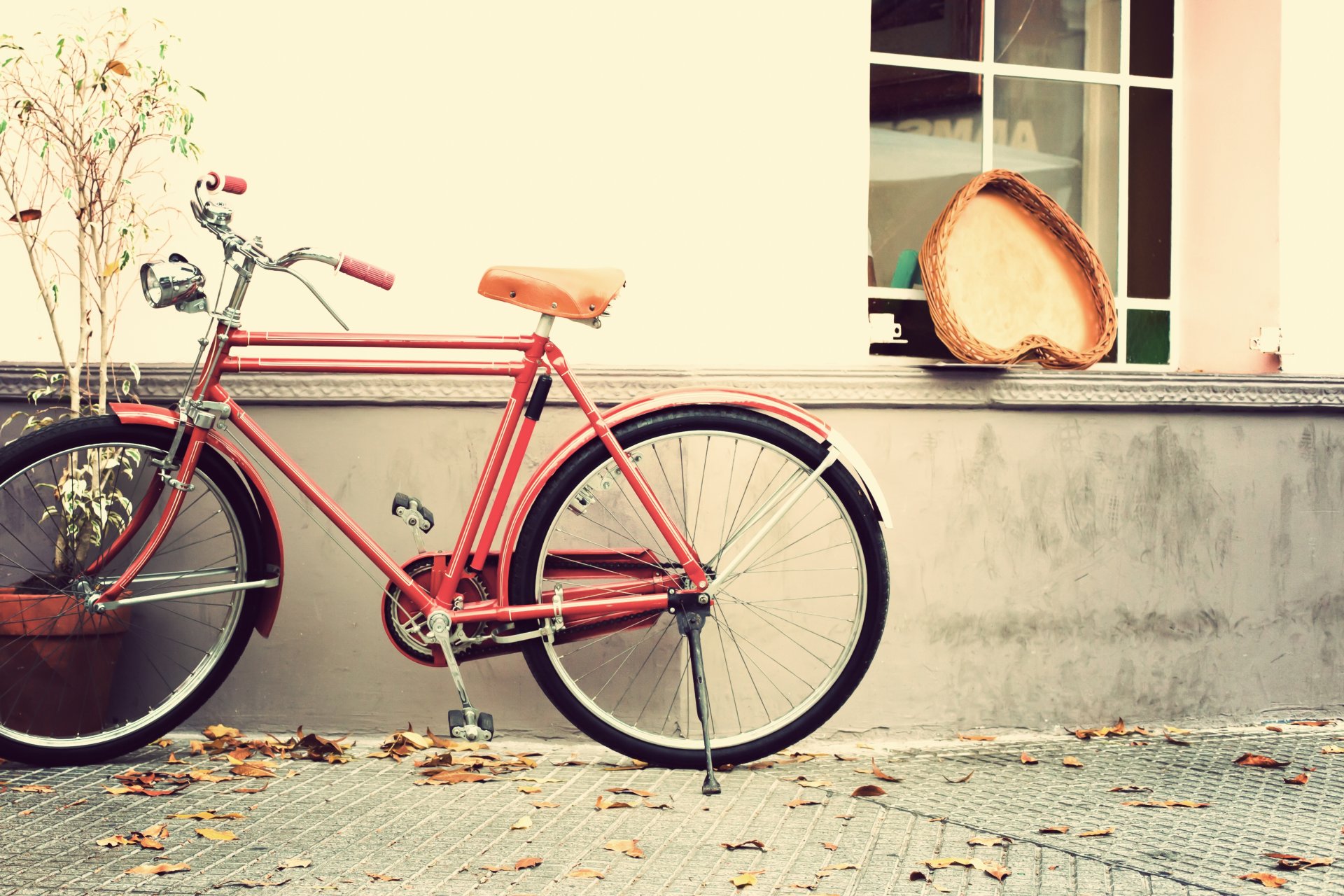vintage love heart romantic bike