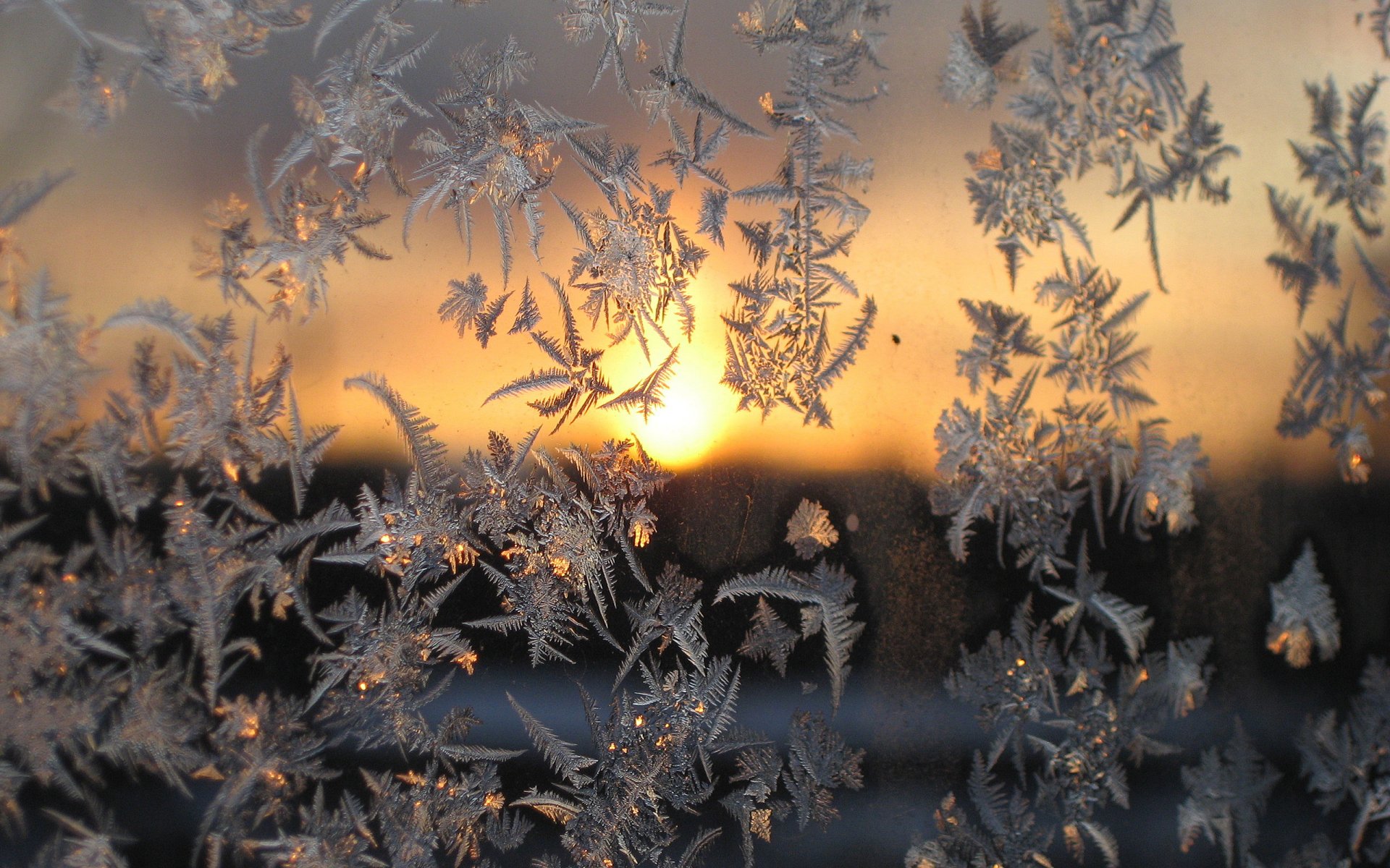 close up frost sunset glass winter cool