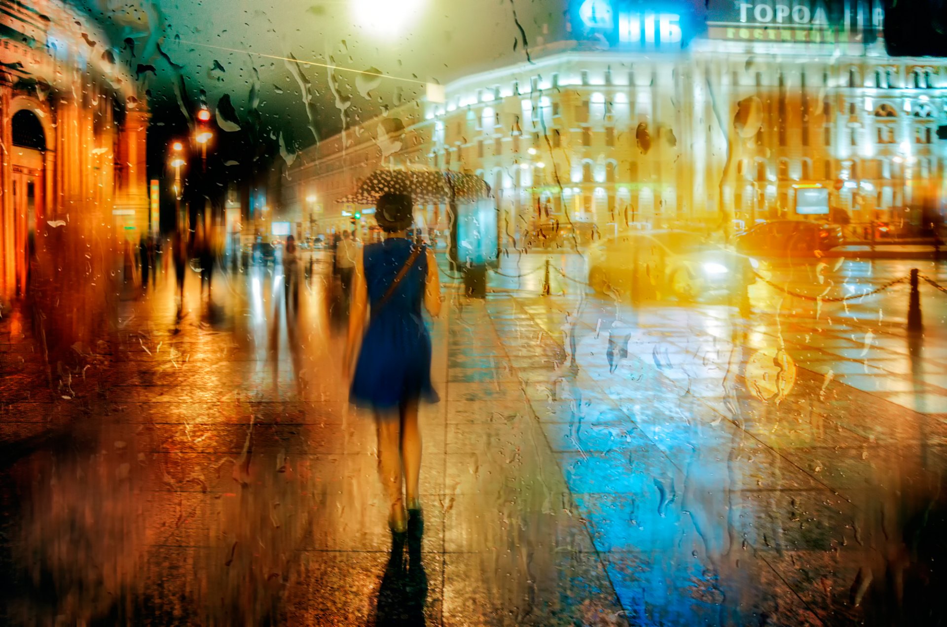 st. petersburg night rain girl umbrella drops