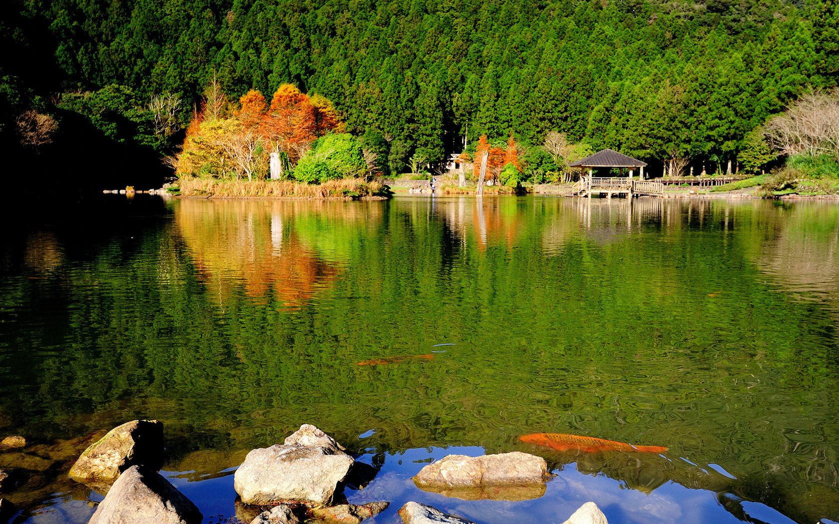 Bright autumn landscape, dense forest behind the lake, rocks