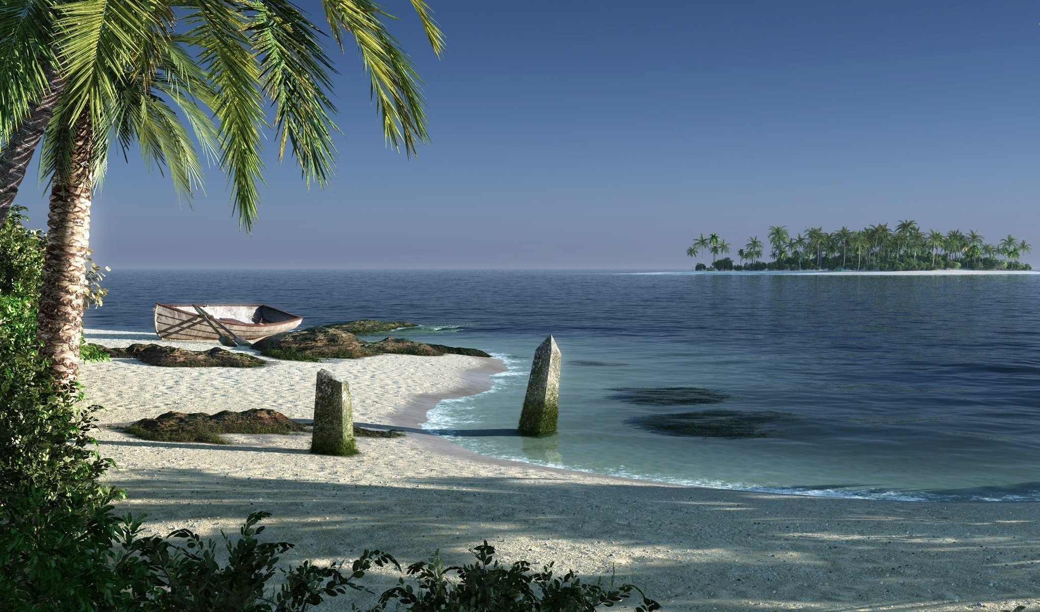 Palm trees on the shore of the island