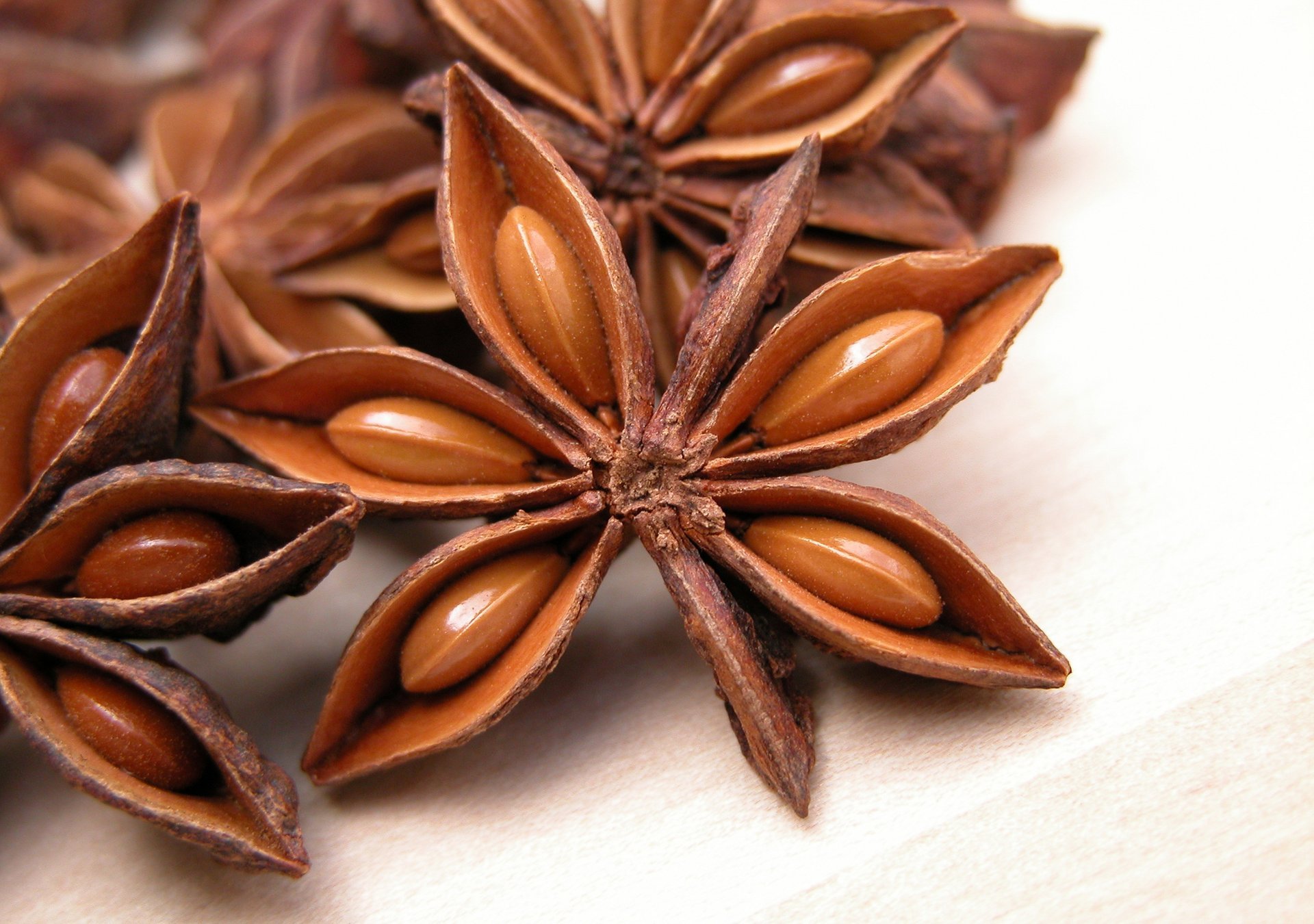 Spicy stars of anise and star anise