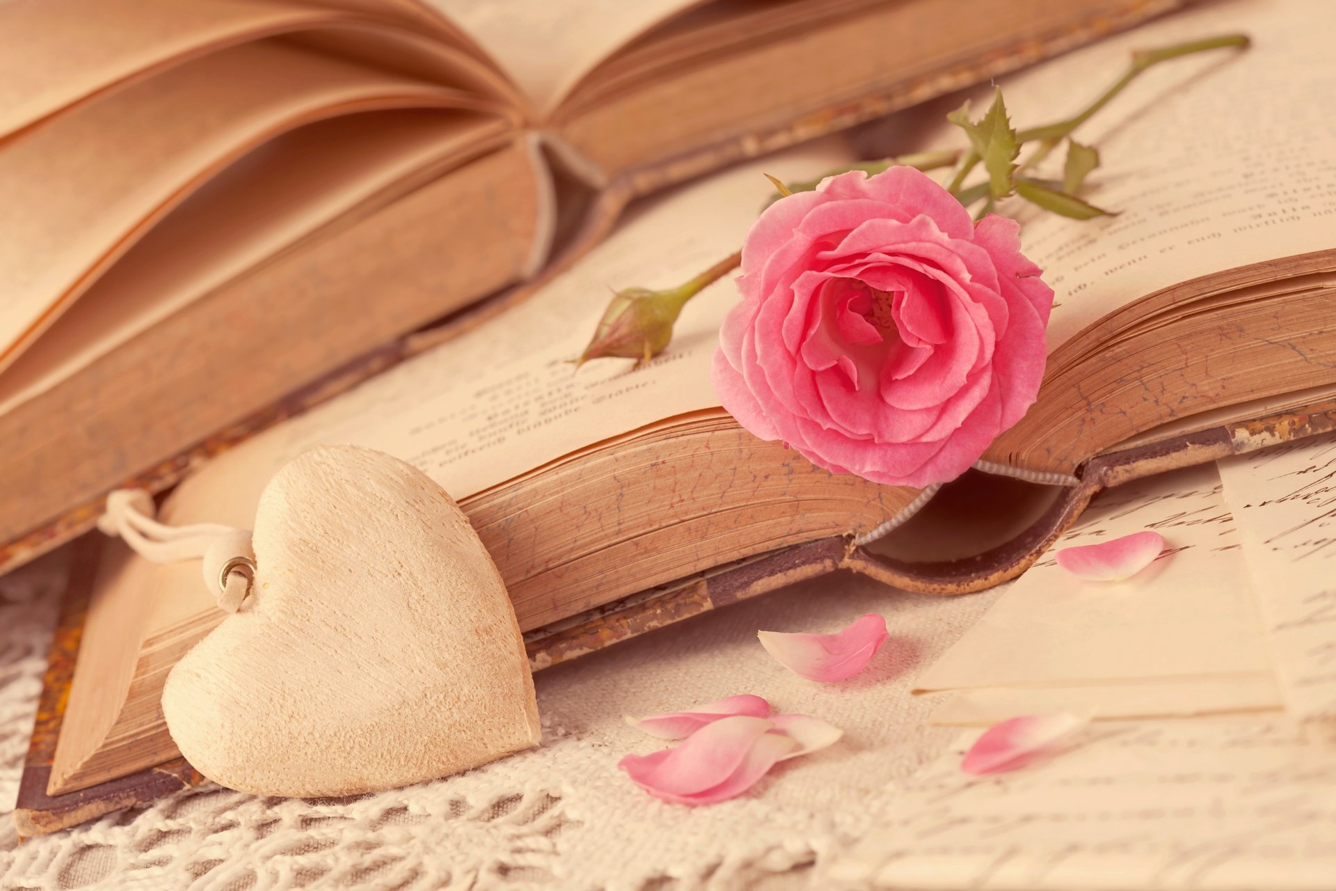 Pink rose on the book with the heart