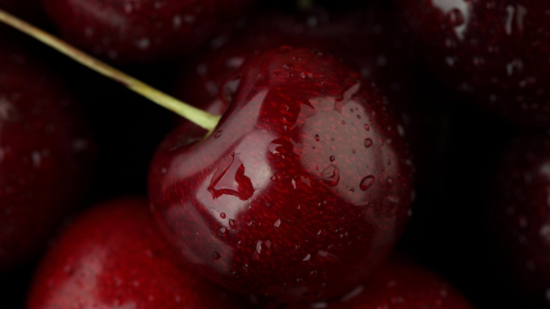cherry food fruit close up drops water macro 1920x1080