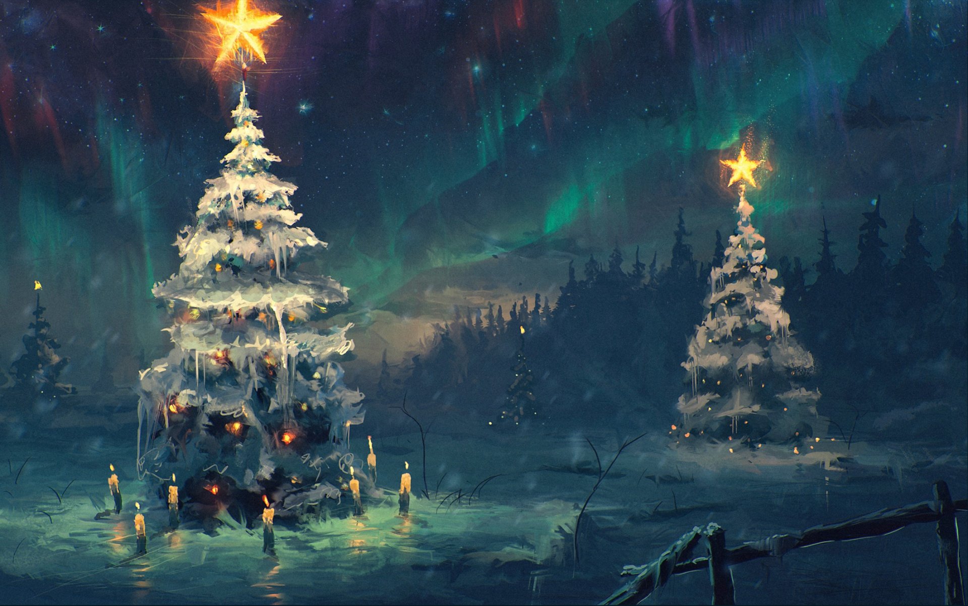 HD wallpaper northern lights sky star night winter christmas tree snow