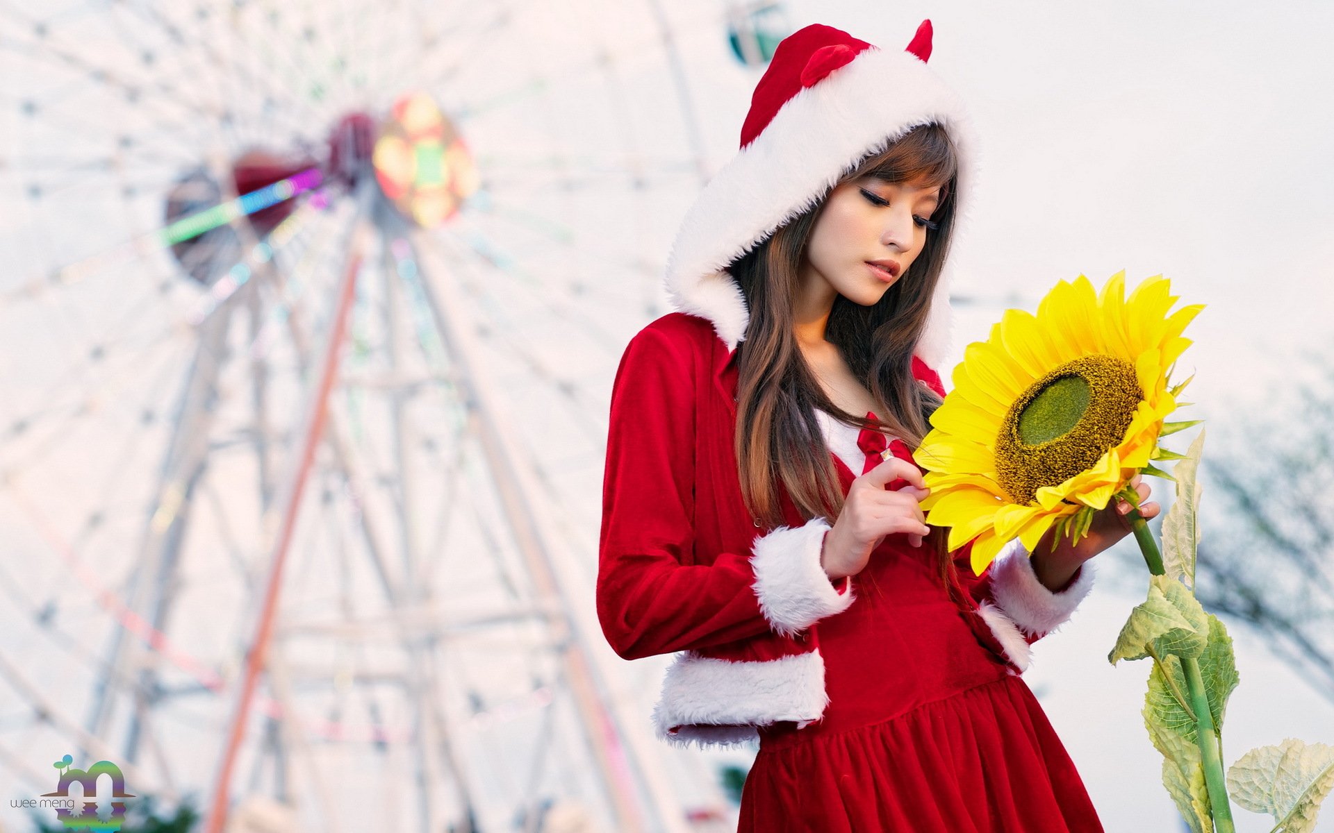 agnes lim girl sunflower