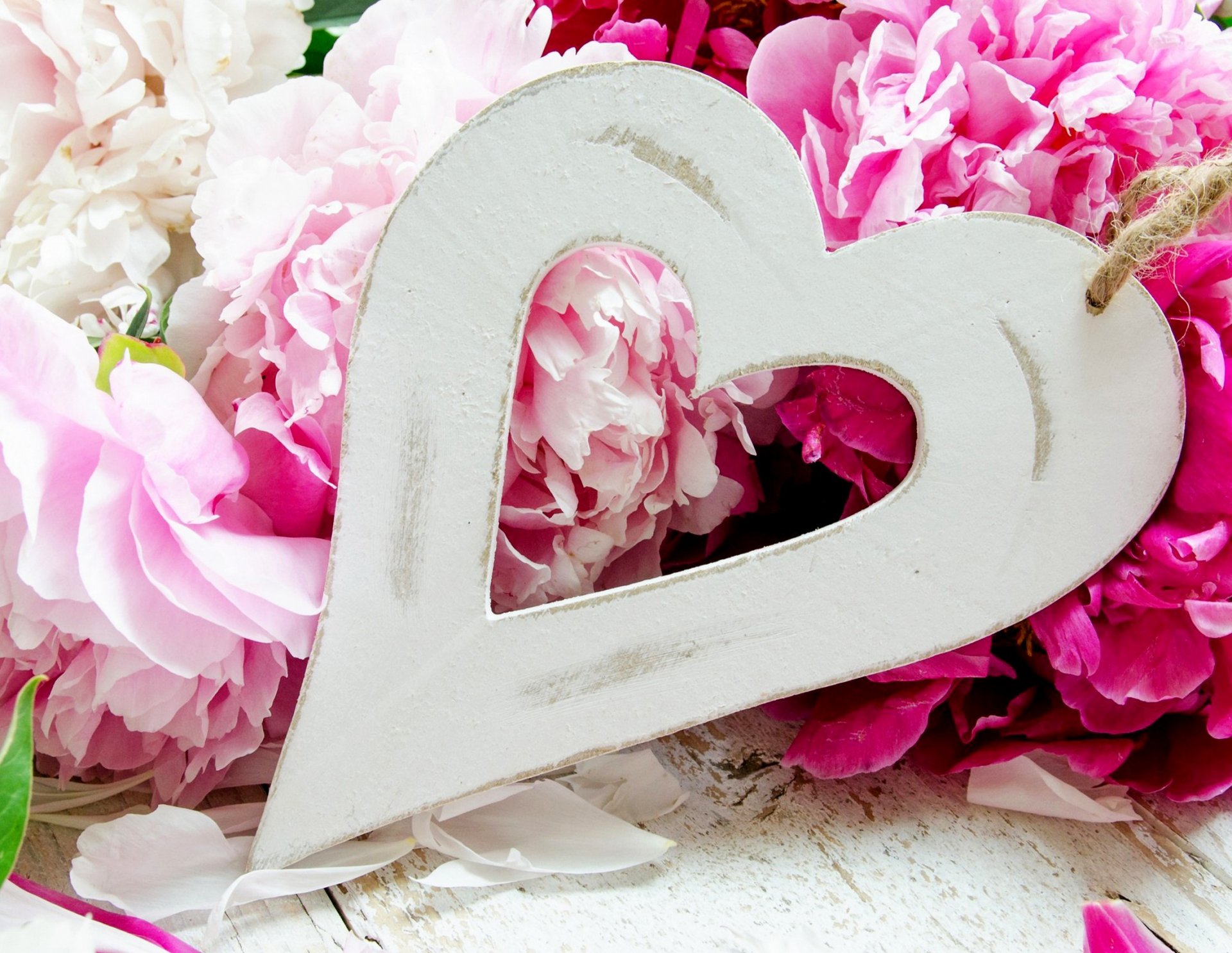 holiday heart flower peonies love flowers