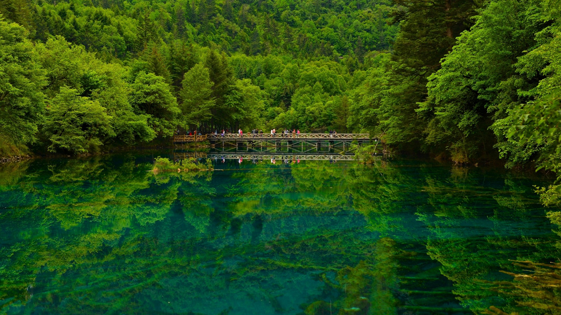 Hd Wallpaper Jiuzhaigou Sichuan China Reserve Lake Bridge Forest Reflection