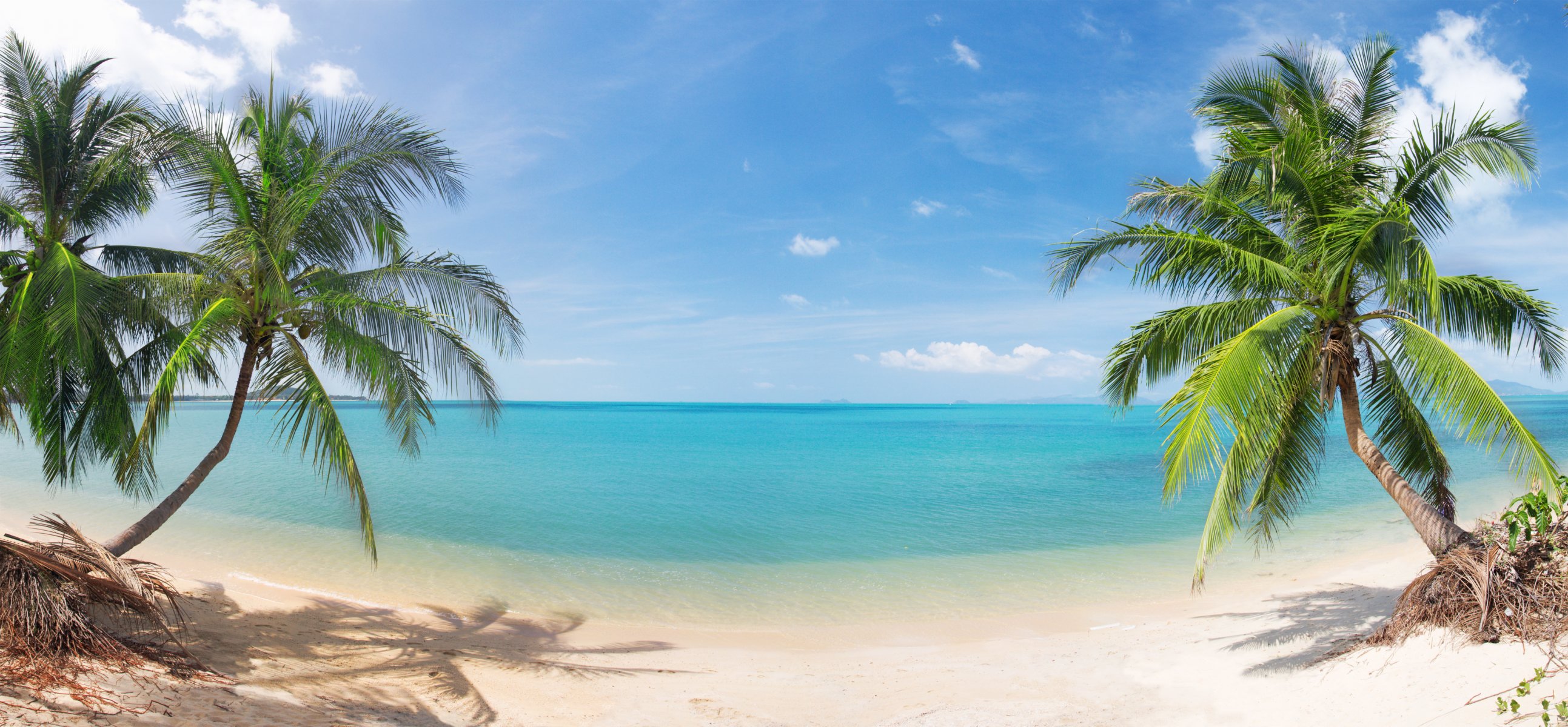 Hd Wallpaper Beautiful Coconut Palm Trees Nature Landscape Sea Sand Sky