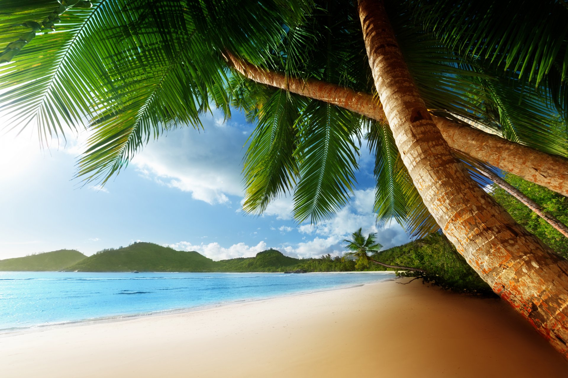 caribbean ocean sea palms clouds sky beach shore nature landscape palm