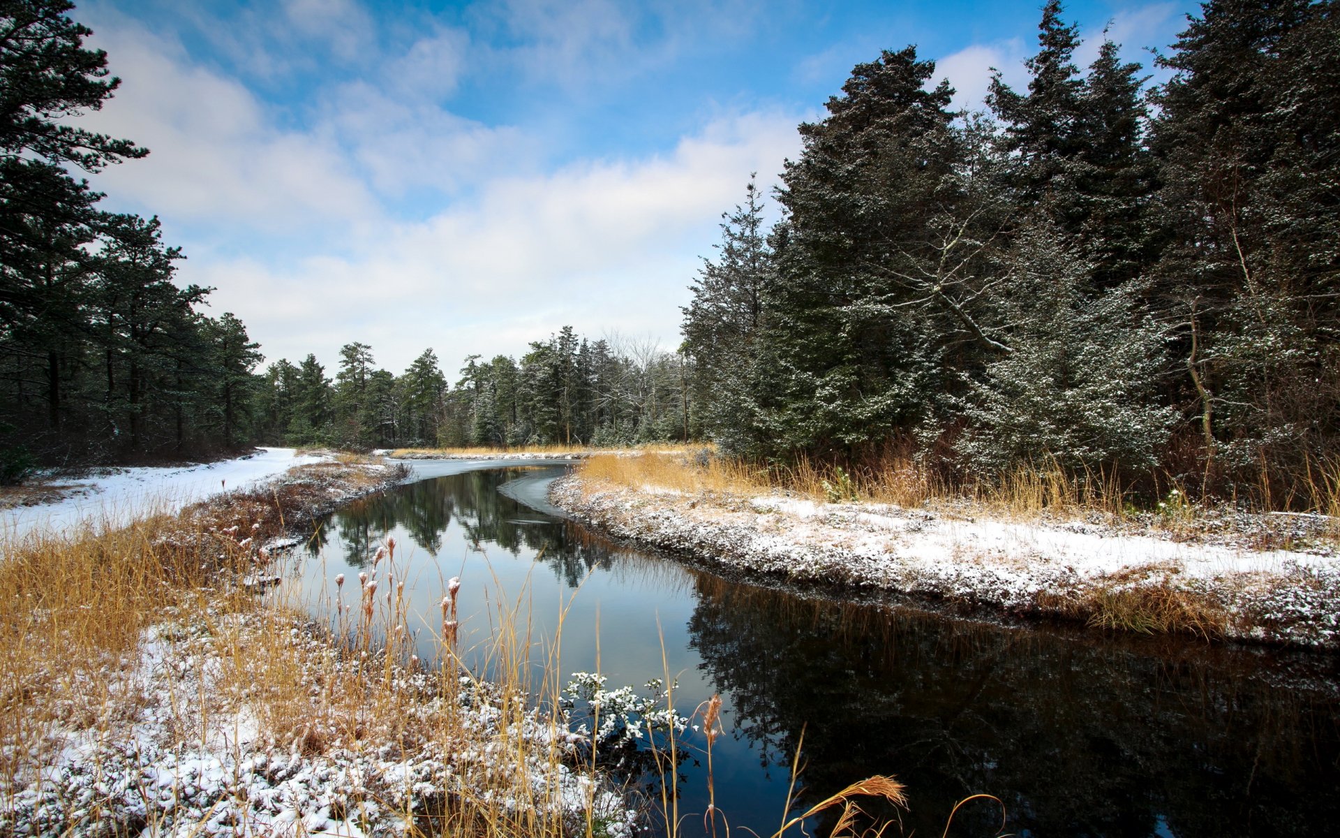 river forest winter landscape