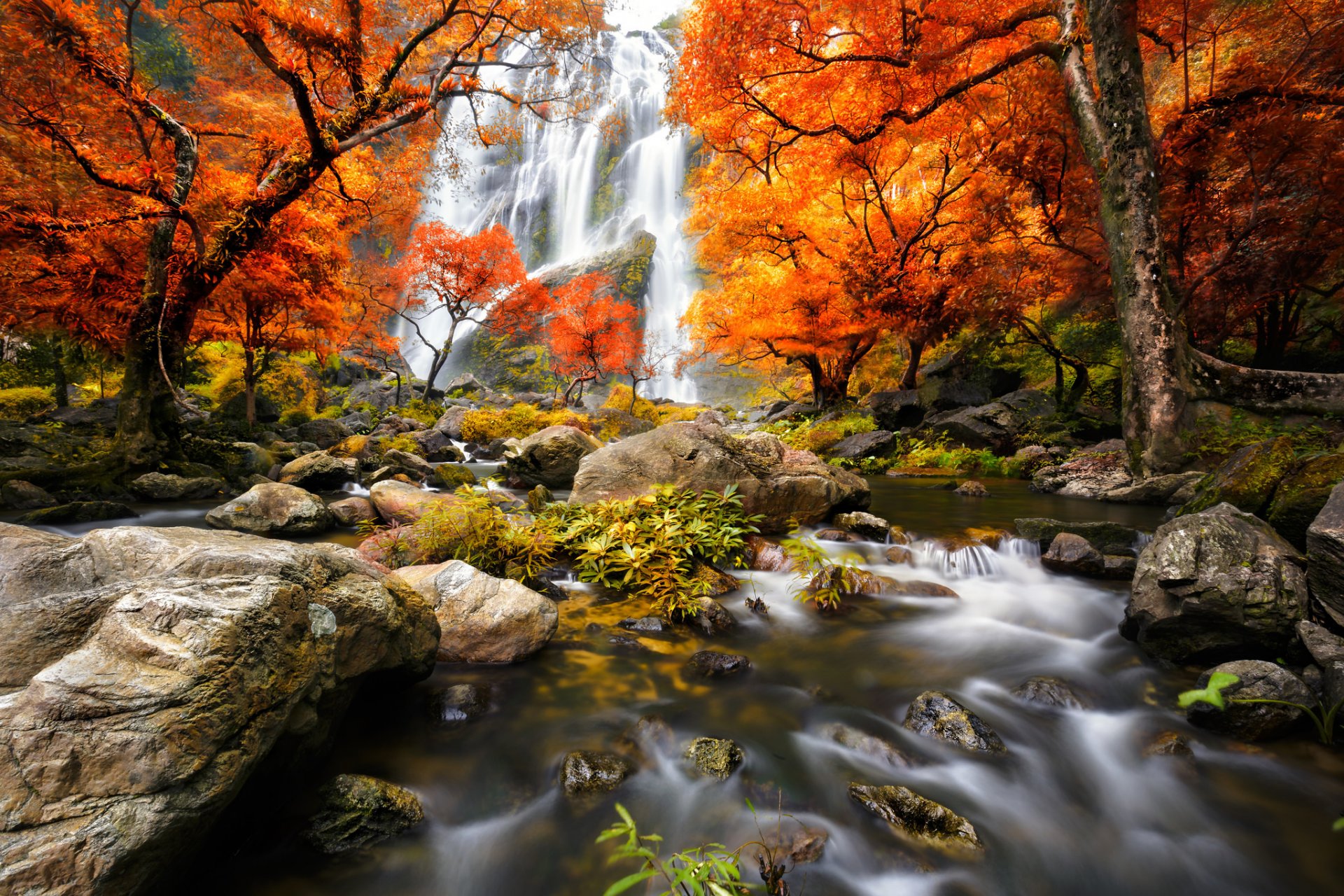 nature landscape forest waterfall water tree autumn river trees scenery view